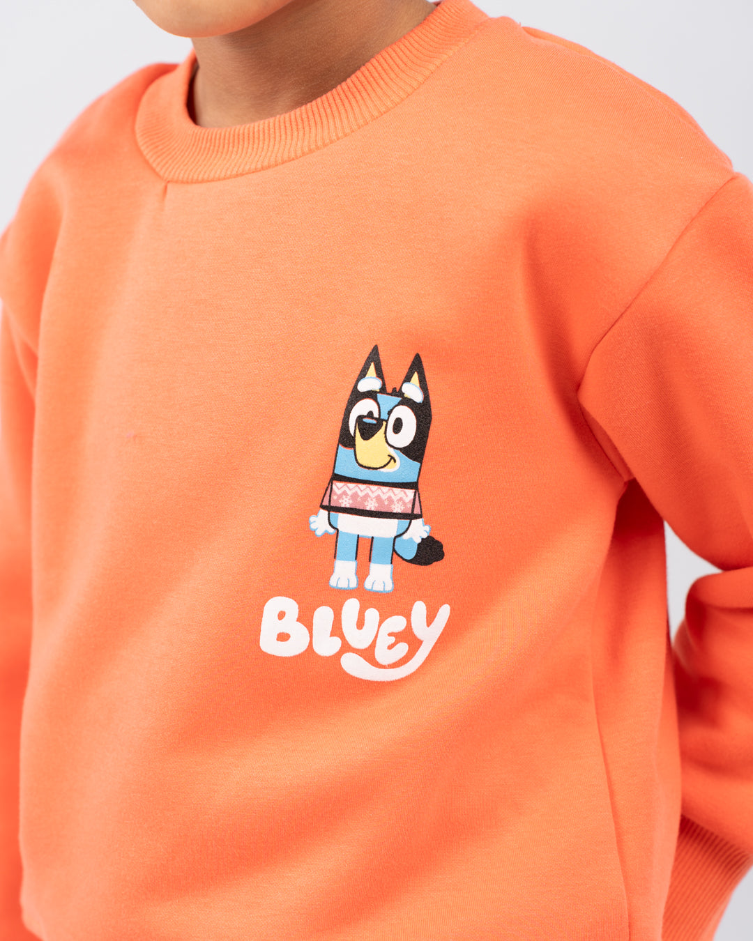 Bluey Boy SweatShirt