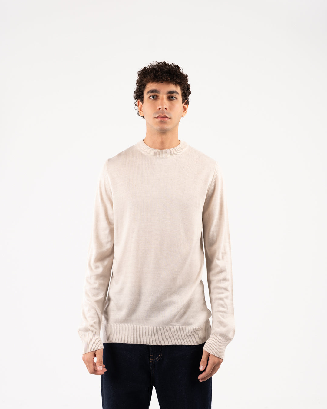 Basic Men Crewneck Sweater