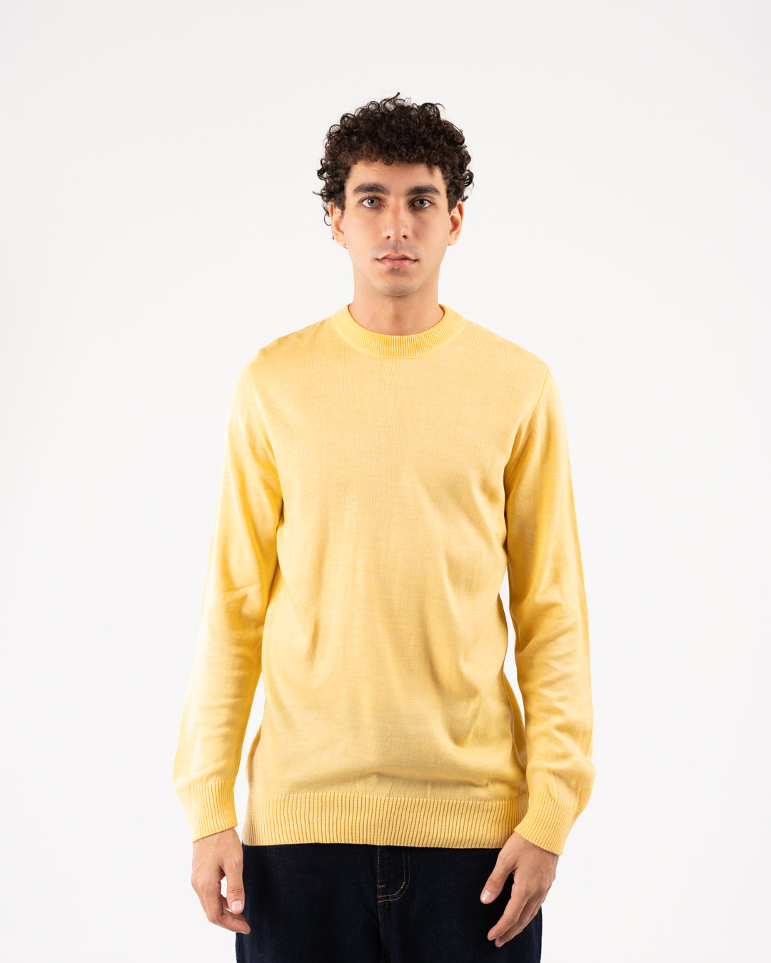 Basic Men Crewneck Sweater