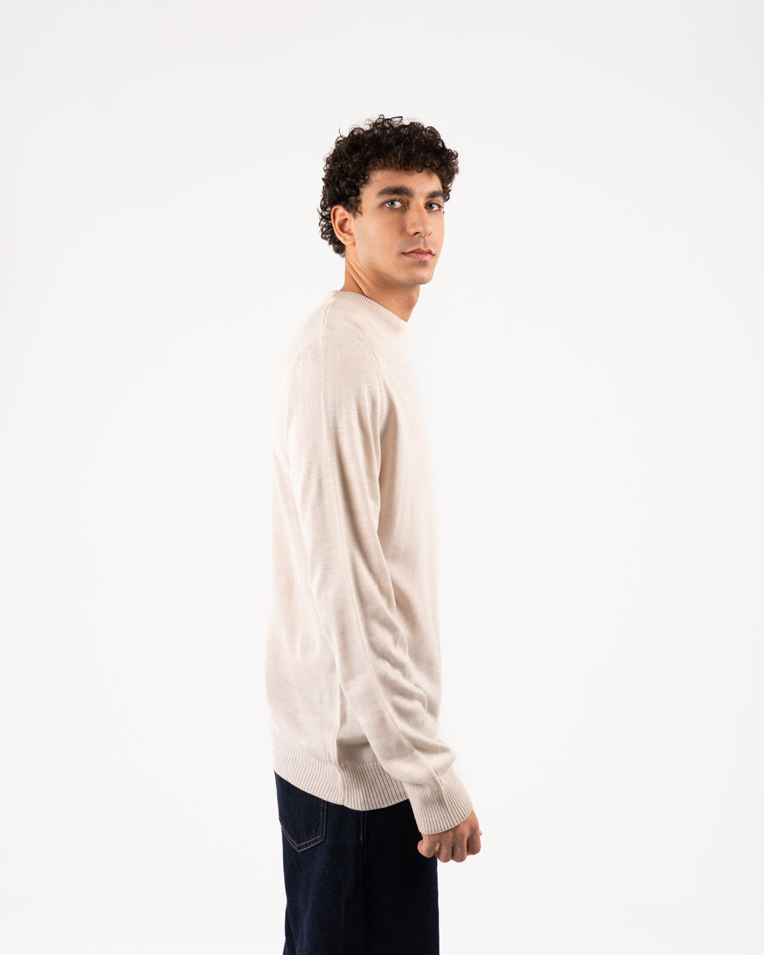 Basic Men Crewneck Sweater