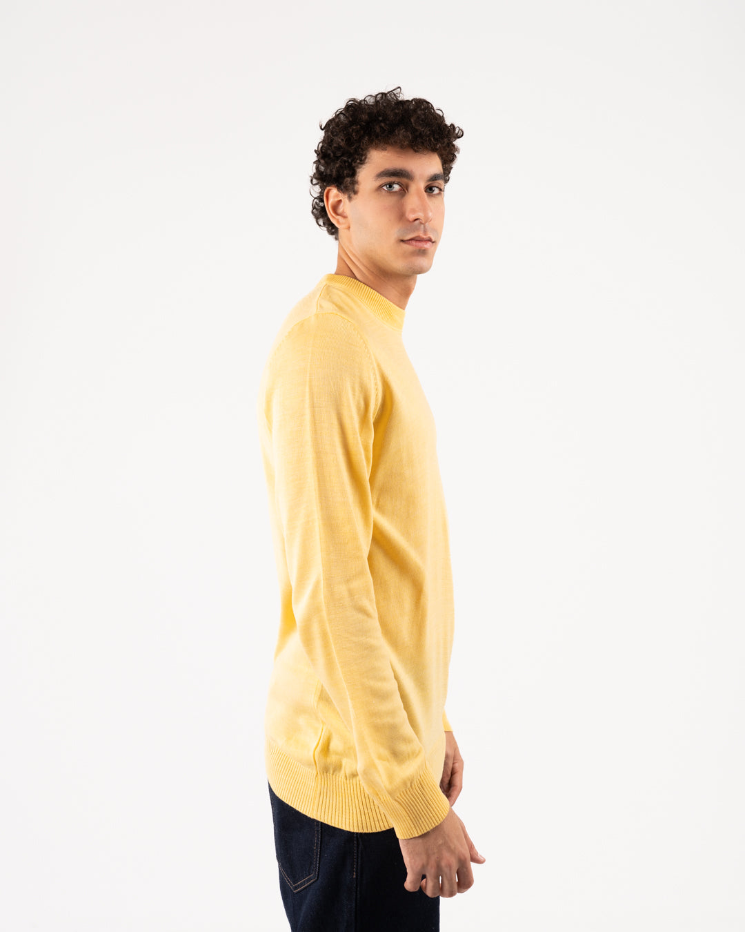 Basic Men Crewneck Sweater