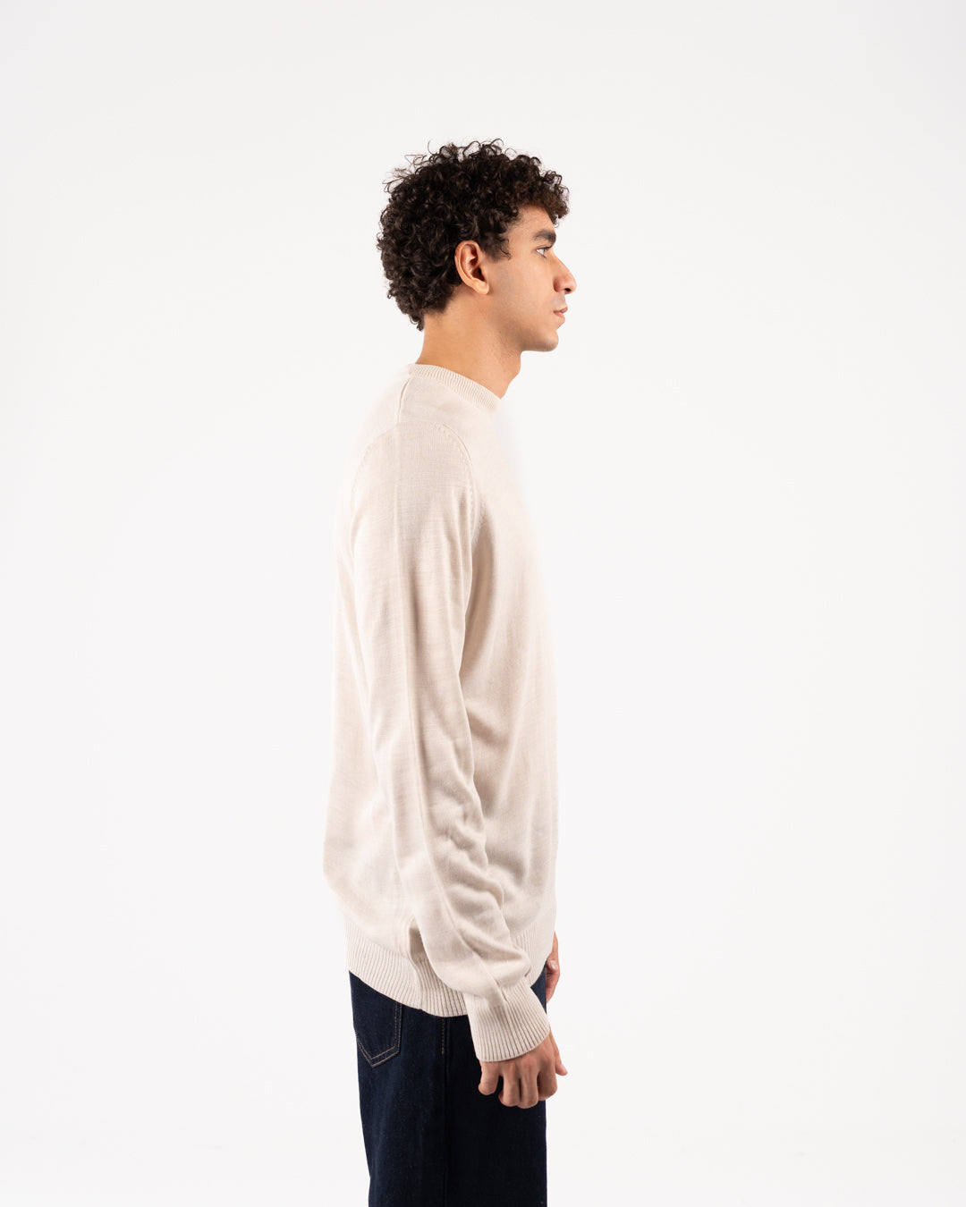 Basic Men Crewneck Sweater