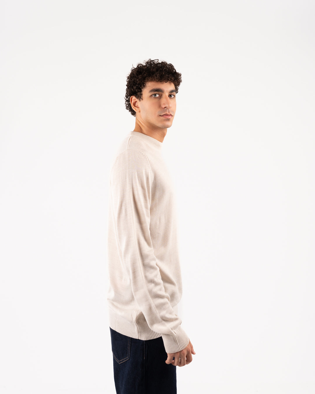Basic Men Crewneck Sweater