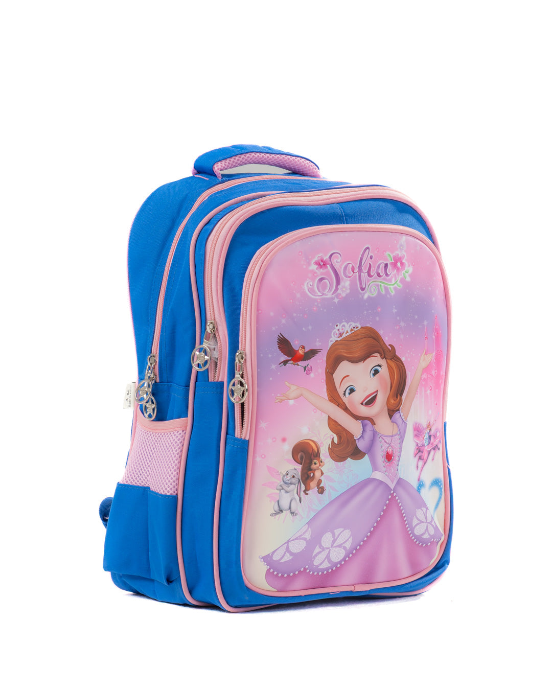 School Backpack