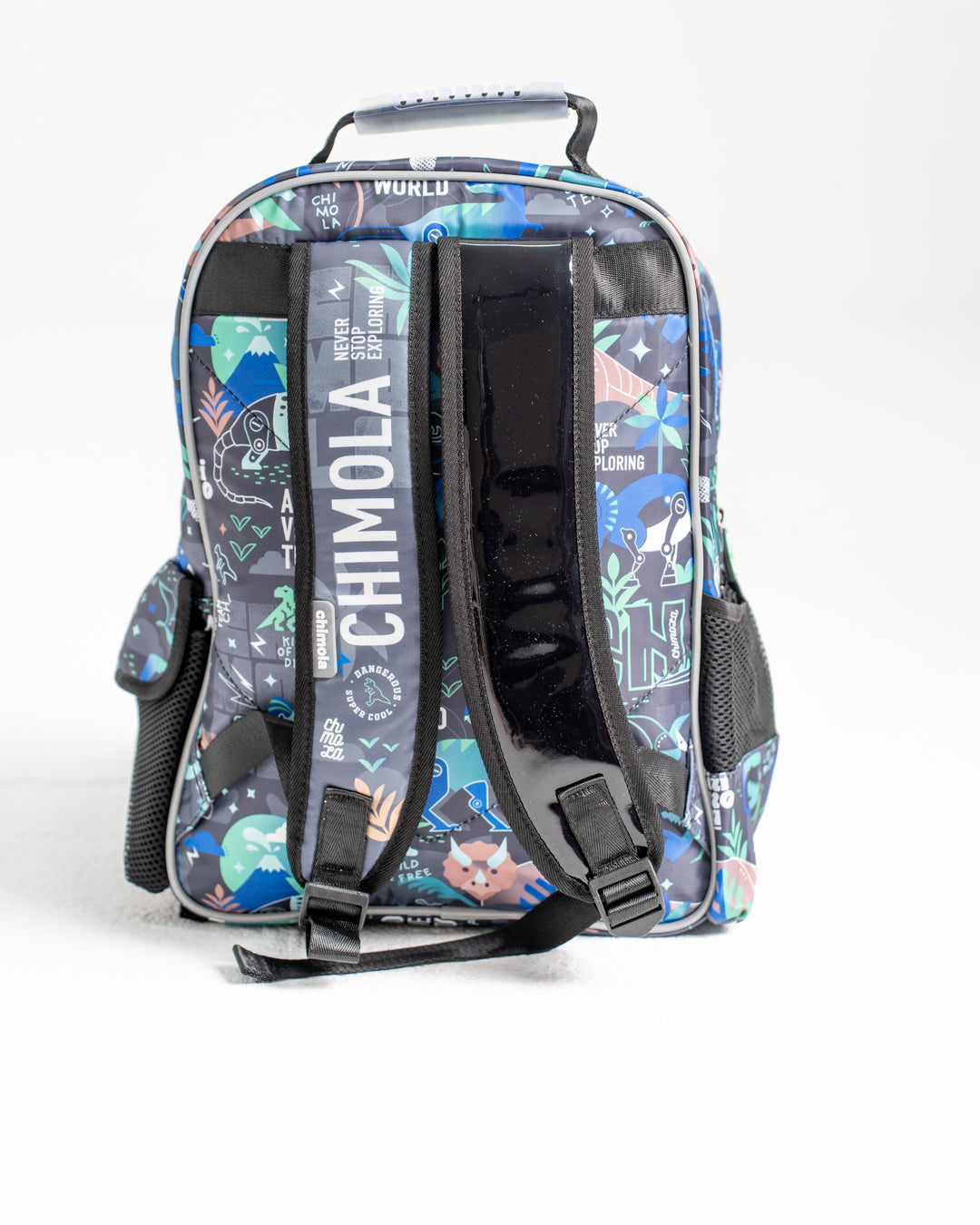 Dinasours Bagpack Set