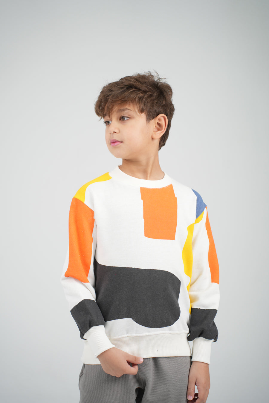 Abstract Color Sweat Shirt