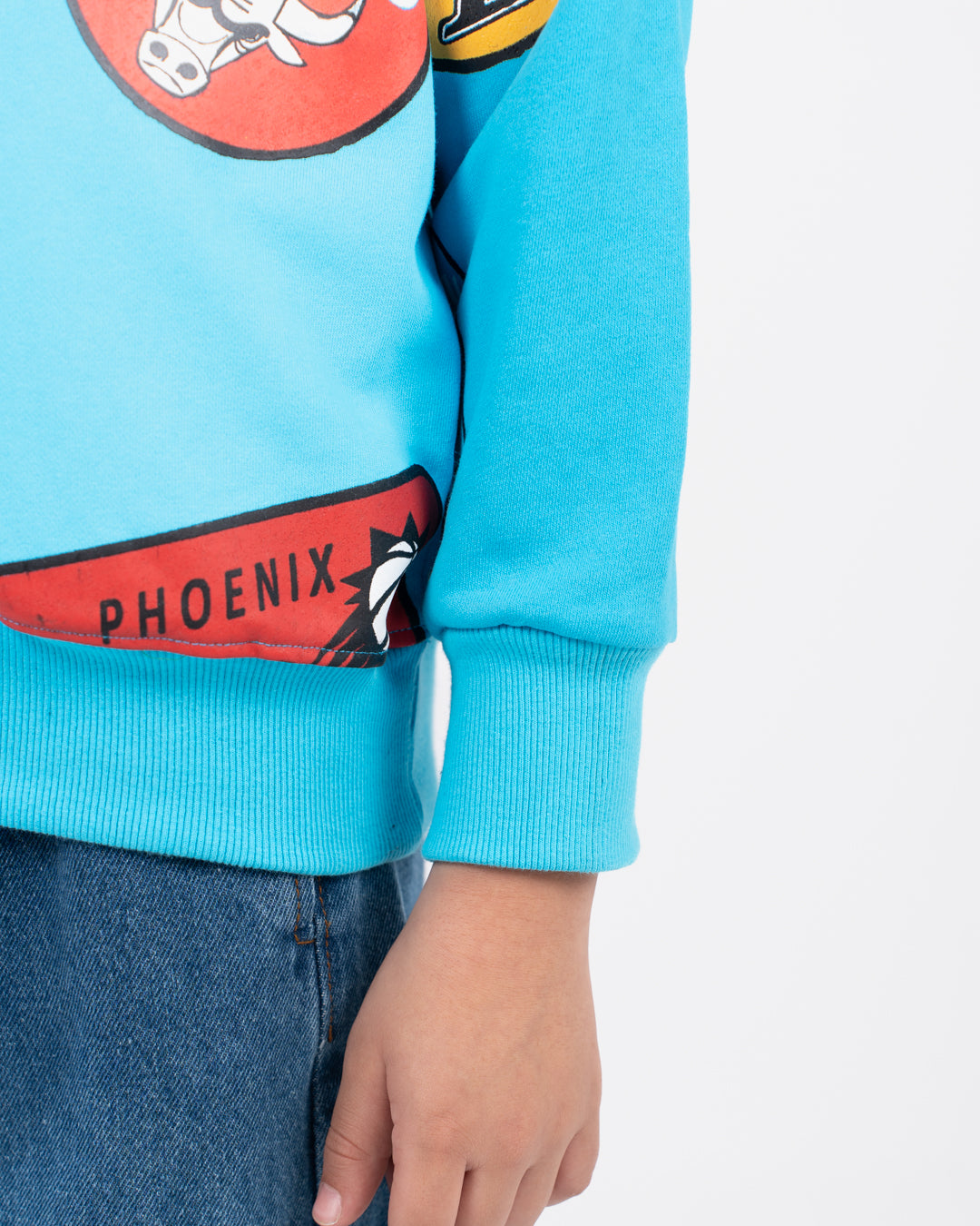Printed Boys Crewneck Sweatshirt