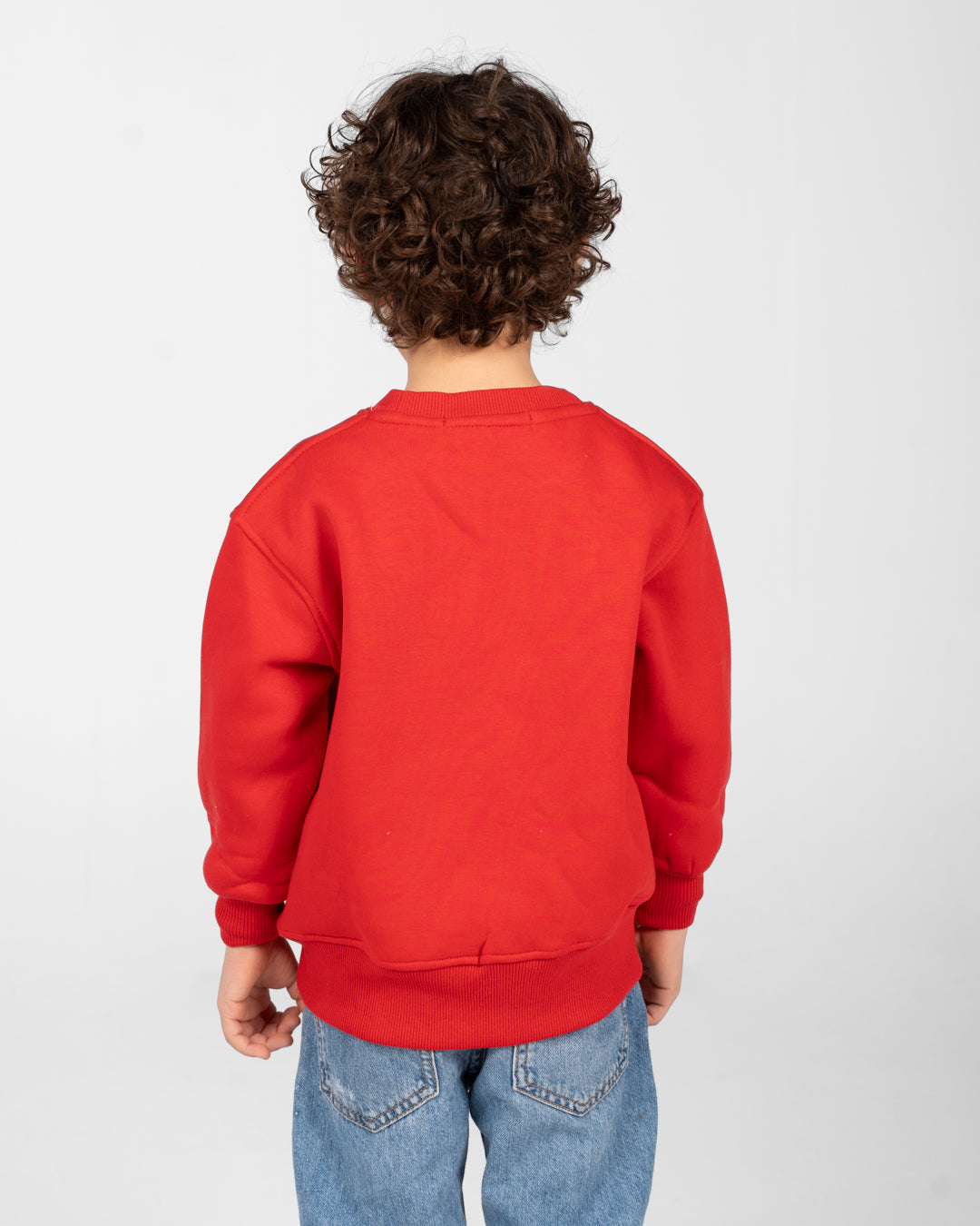 Boys Printed SweatShirt Round Neck
