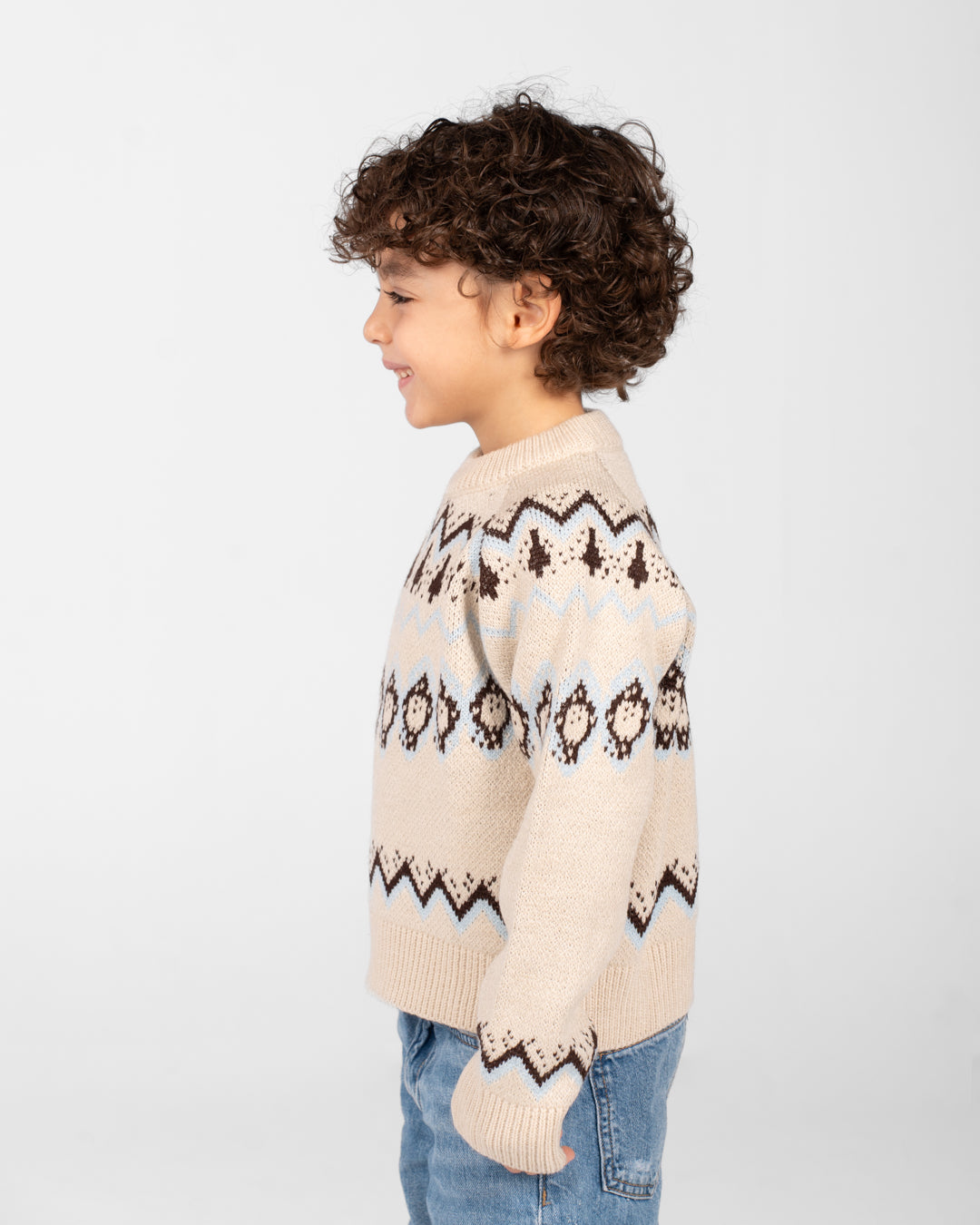 Boys Crewneck Jacquard Pullover
