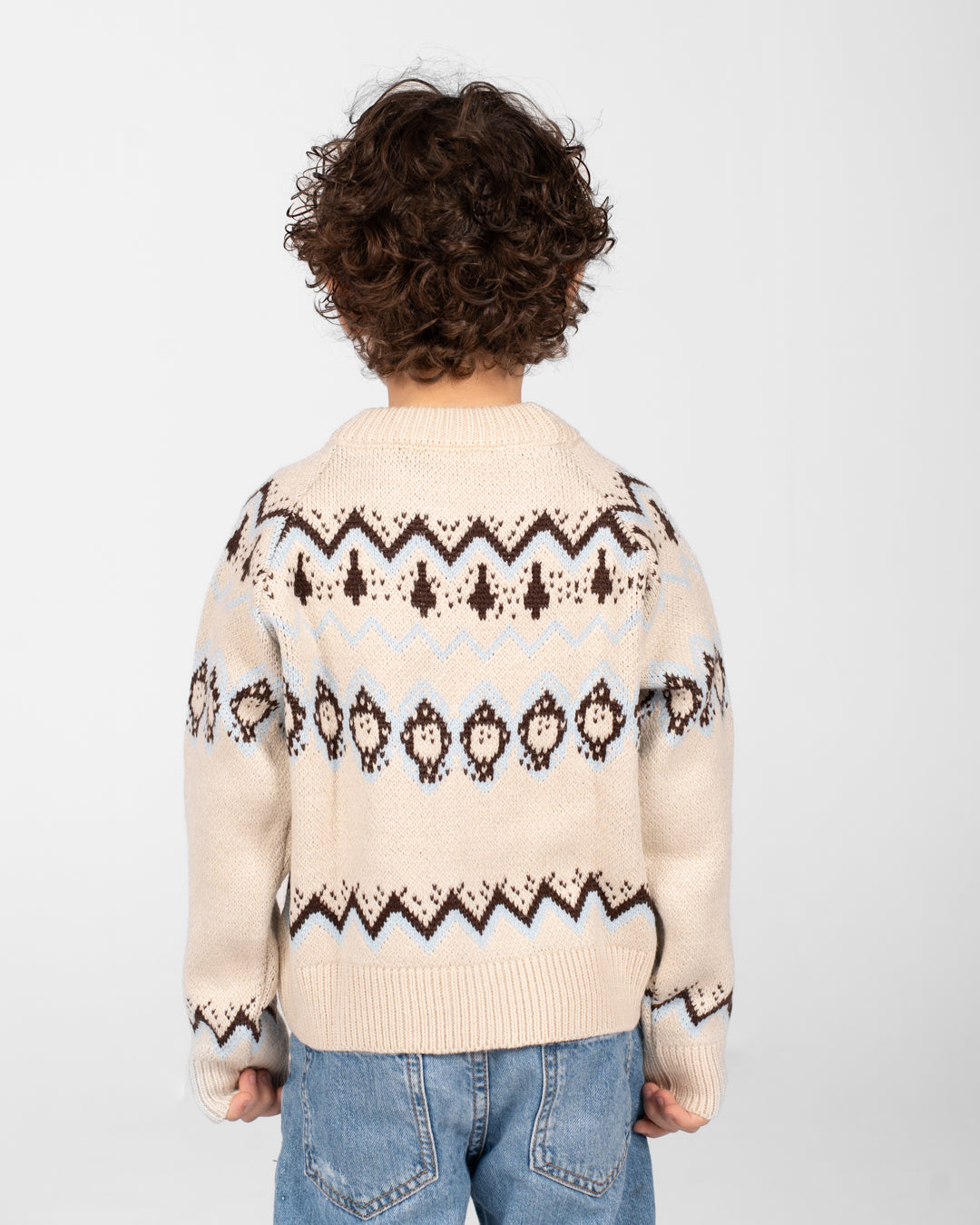 Boys Crewneck Jacquard Pullover