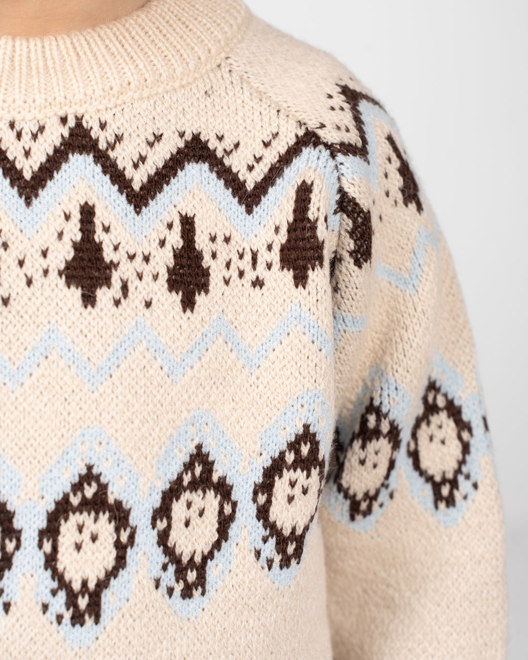 Boys Crewneck Jacquard Pullover