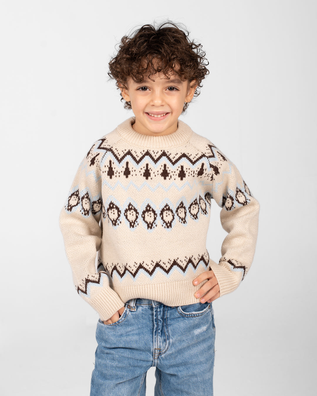 Boys Crewneck Jacquard Pullover