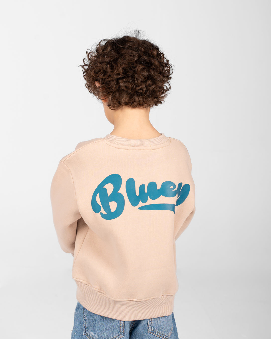Boys Crewneck Printed Sweatshirt