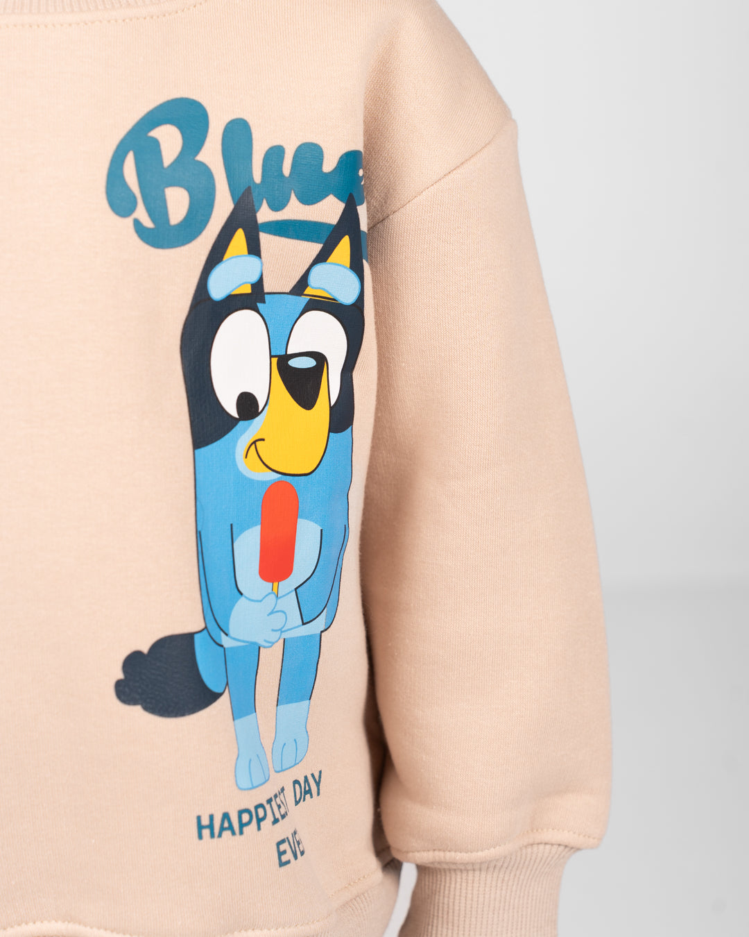 Boys Crewneck Printed Sweatshirt