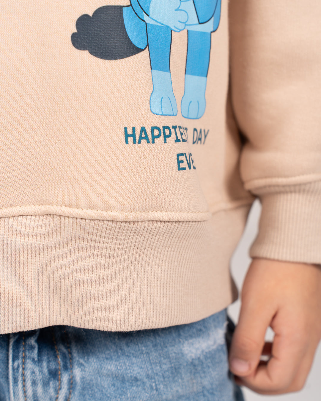 Boys Crewneck Printed Sweatshirt