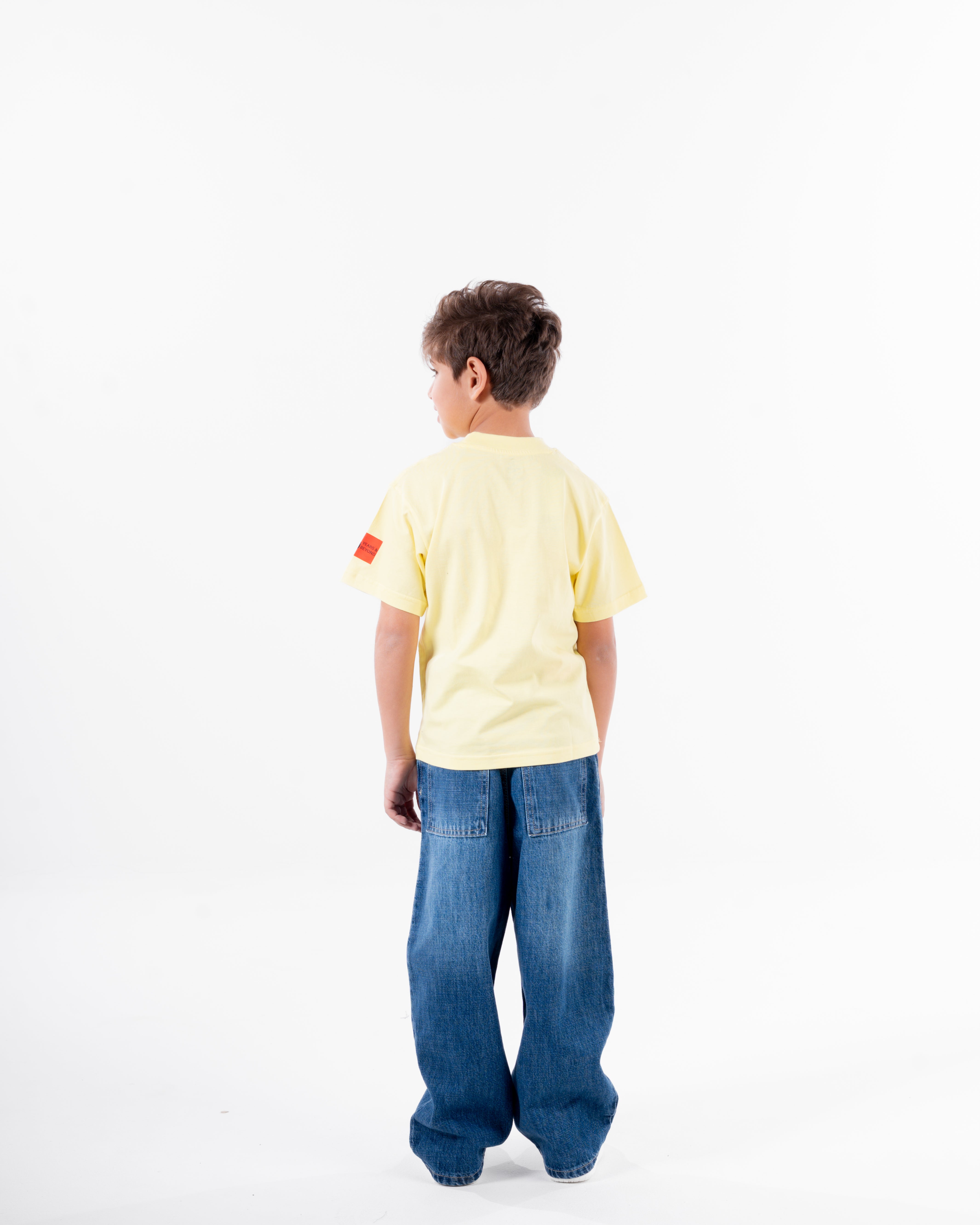 Boys Printed Half Sleeves T-Shirt