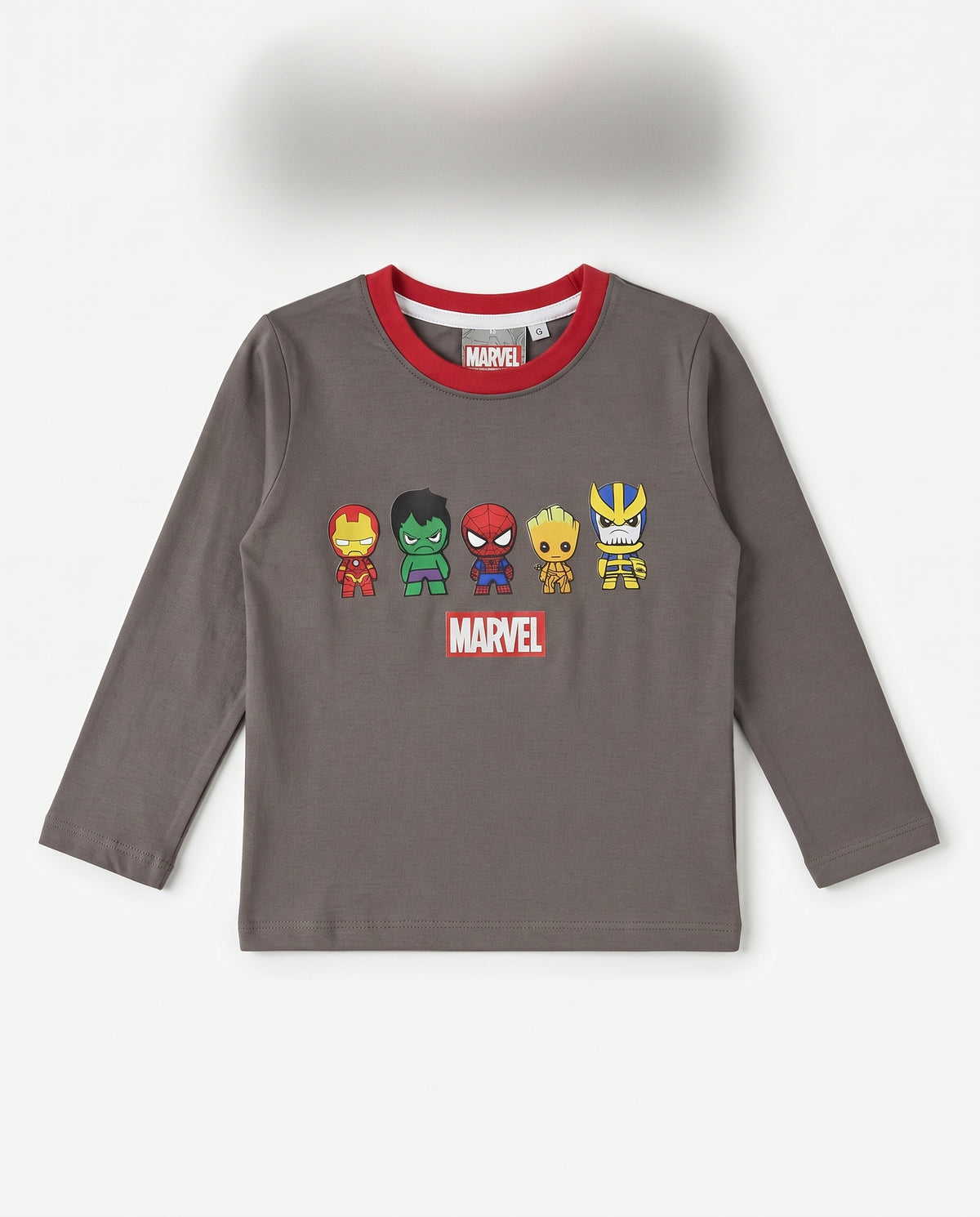Boys Printed Long Sleeves T-Shirt