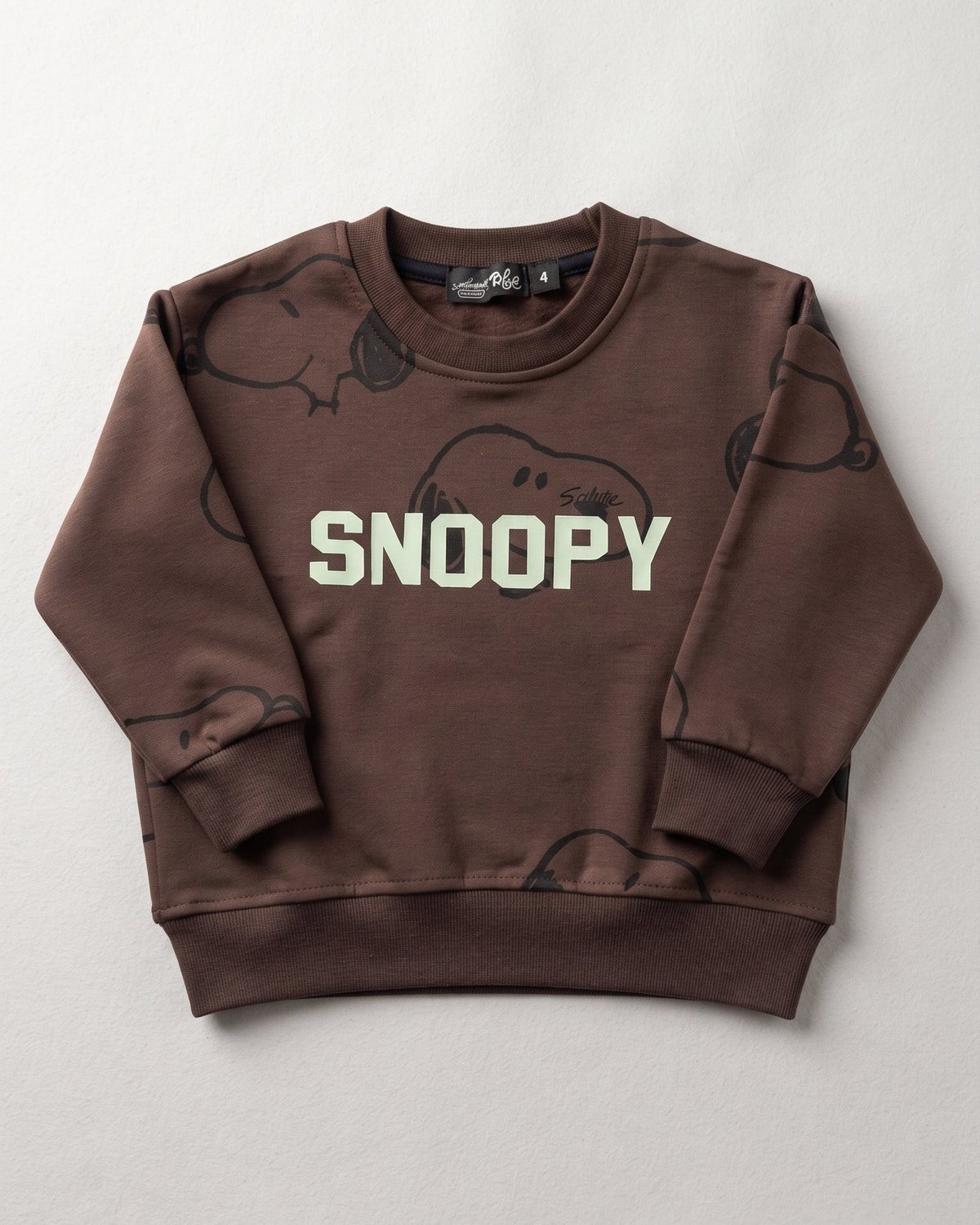 Boys Printed Snoopy Sweatshirt