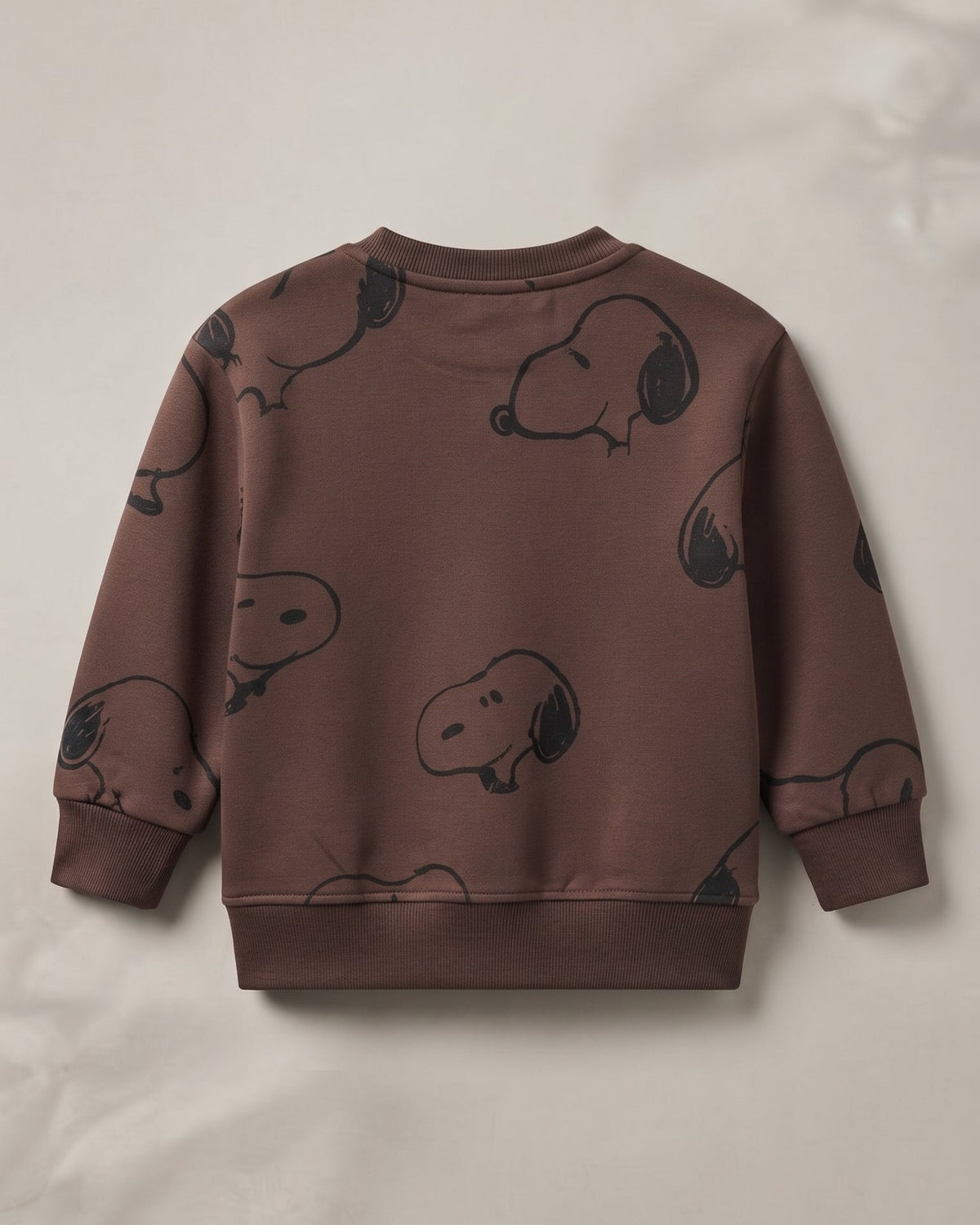 Boys Printed Snoopy Sweatshirt