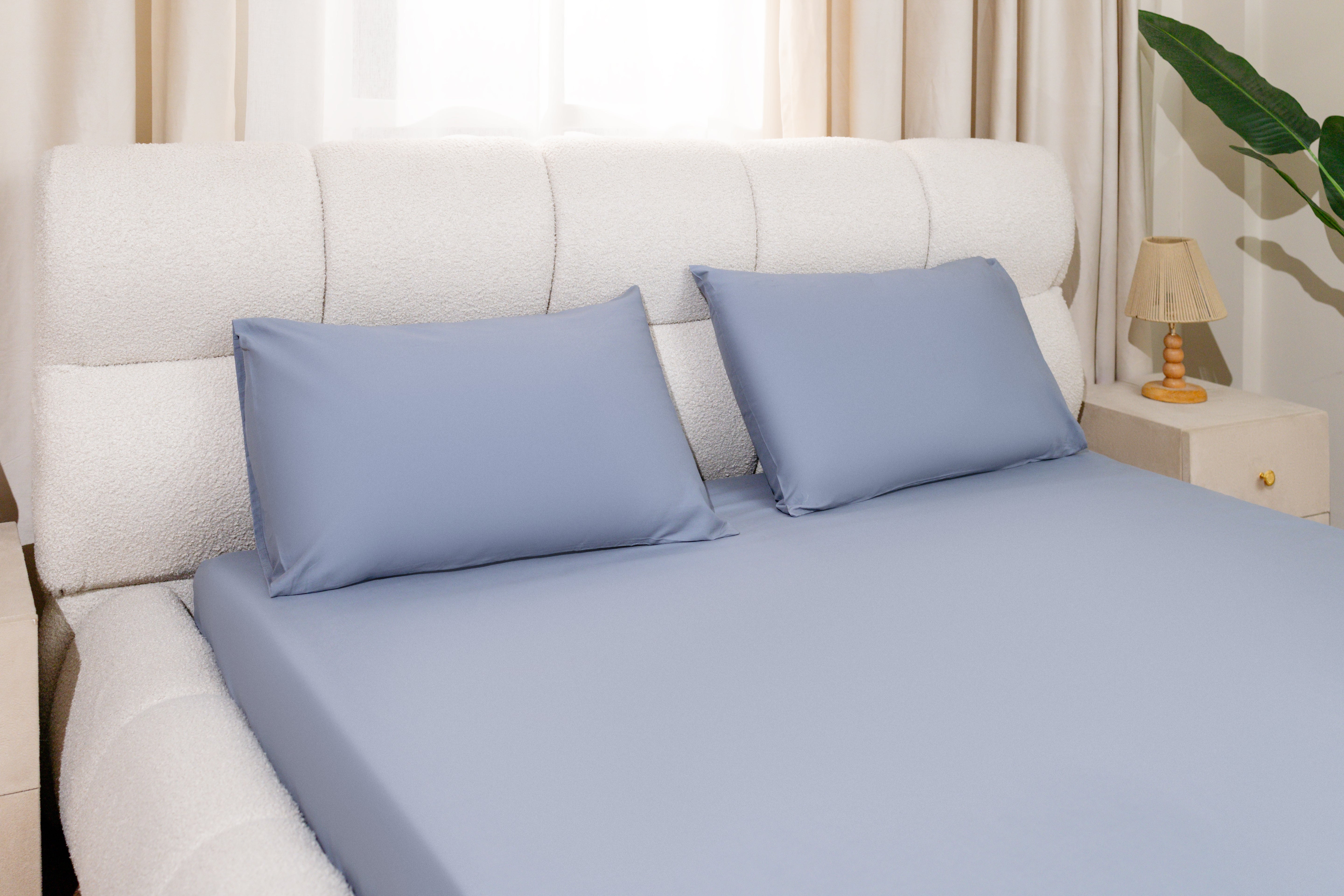 Cotton Flat Sheet 240*260CM