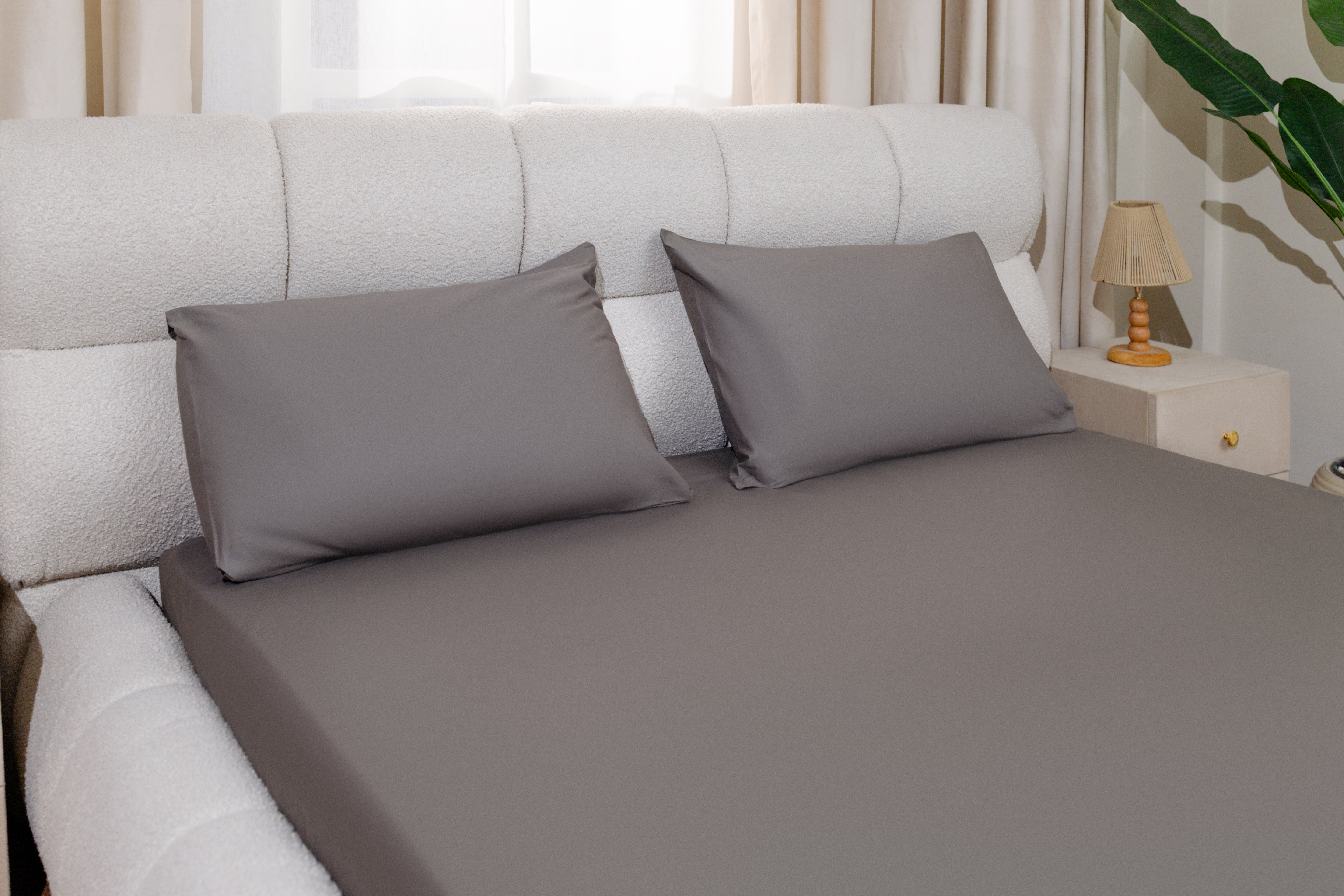 Cotton Flat Sheet