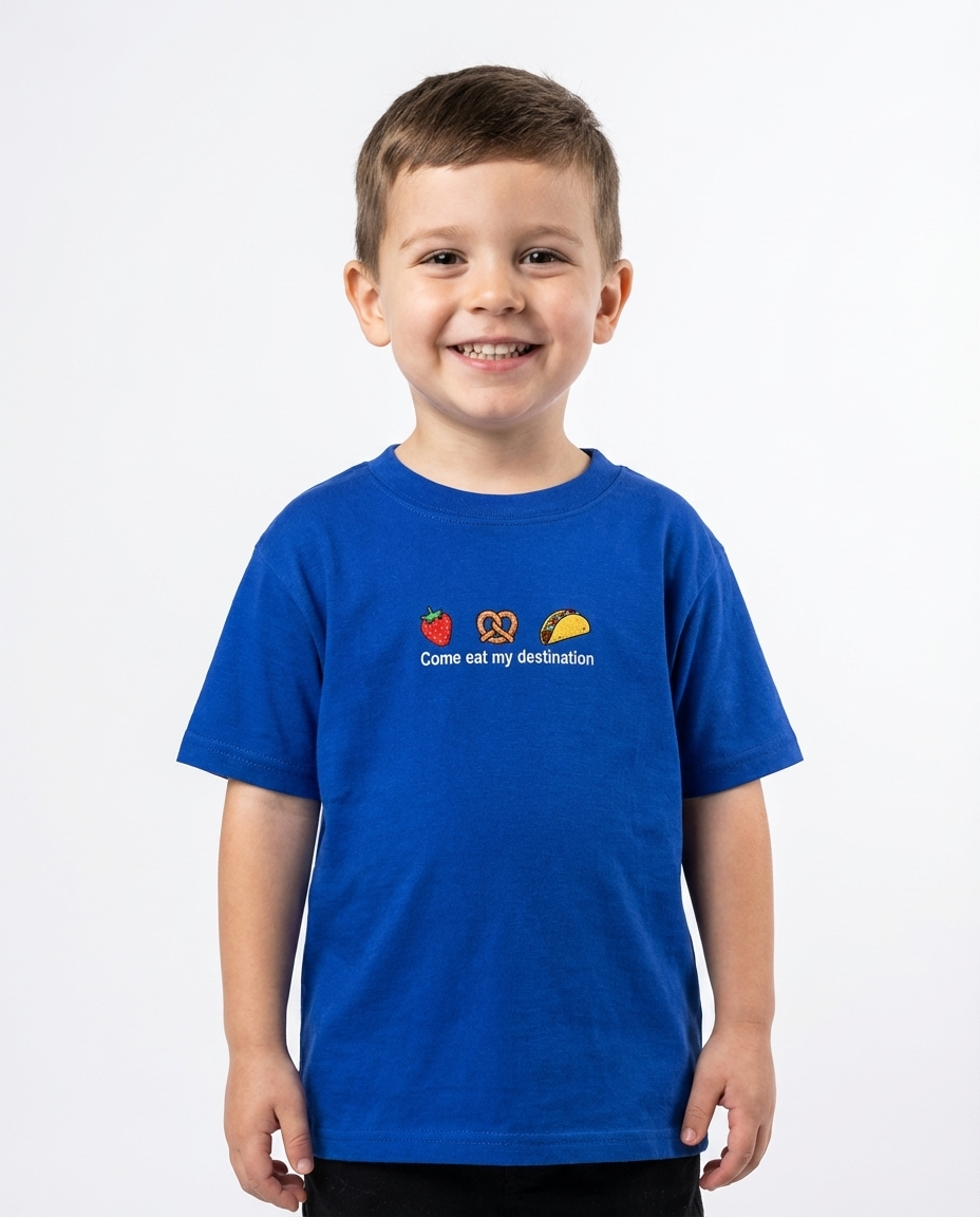 Boys Embroidered Half Sleeves T-shirt