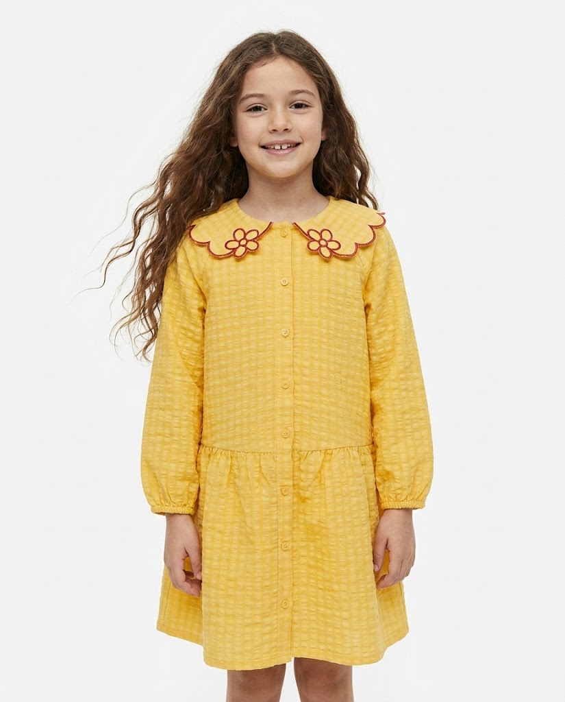 Girls Embroidered Dress