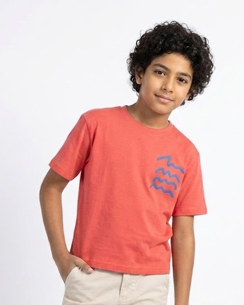 Boys Printed Half Sleeves T-shirt
