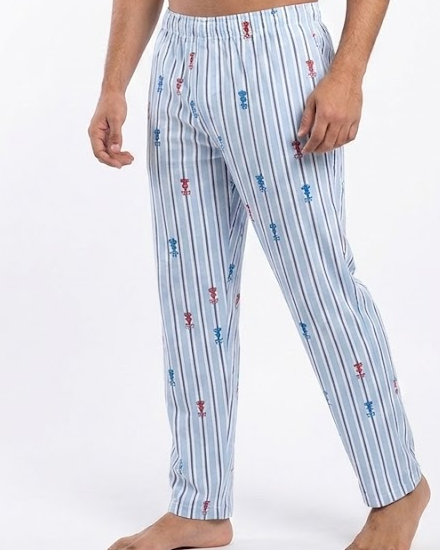 Men Printed Pyjama