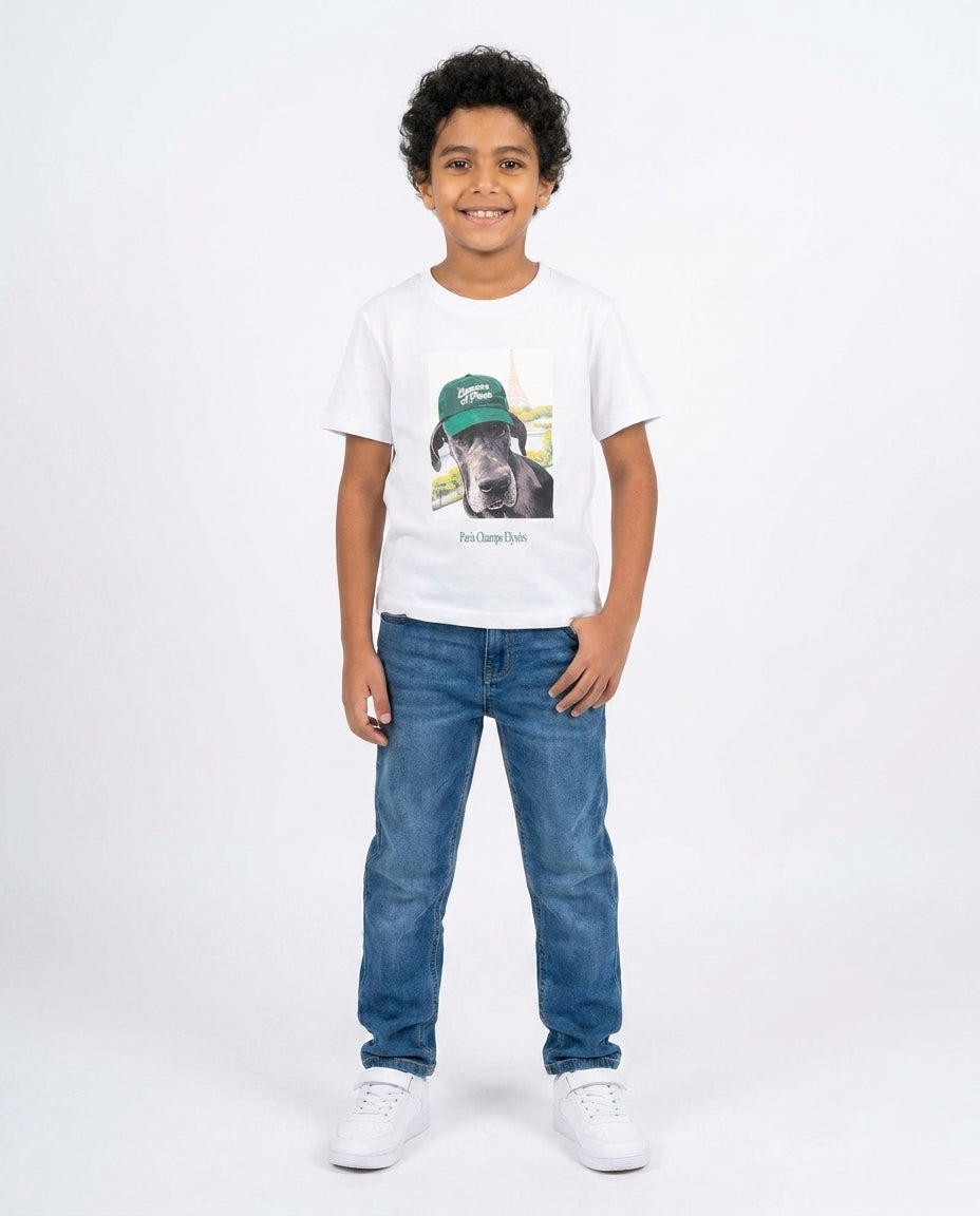 Boys Printed Half Sleeves T-shirt