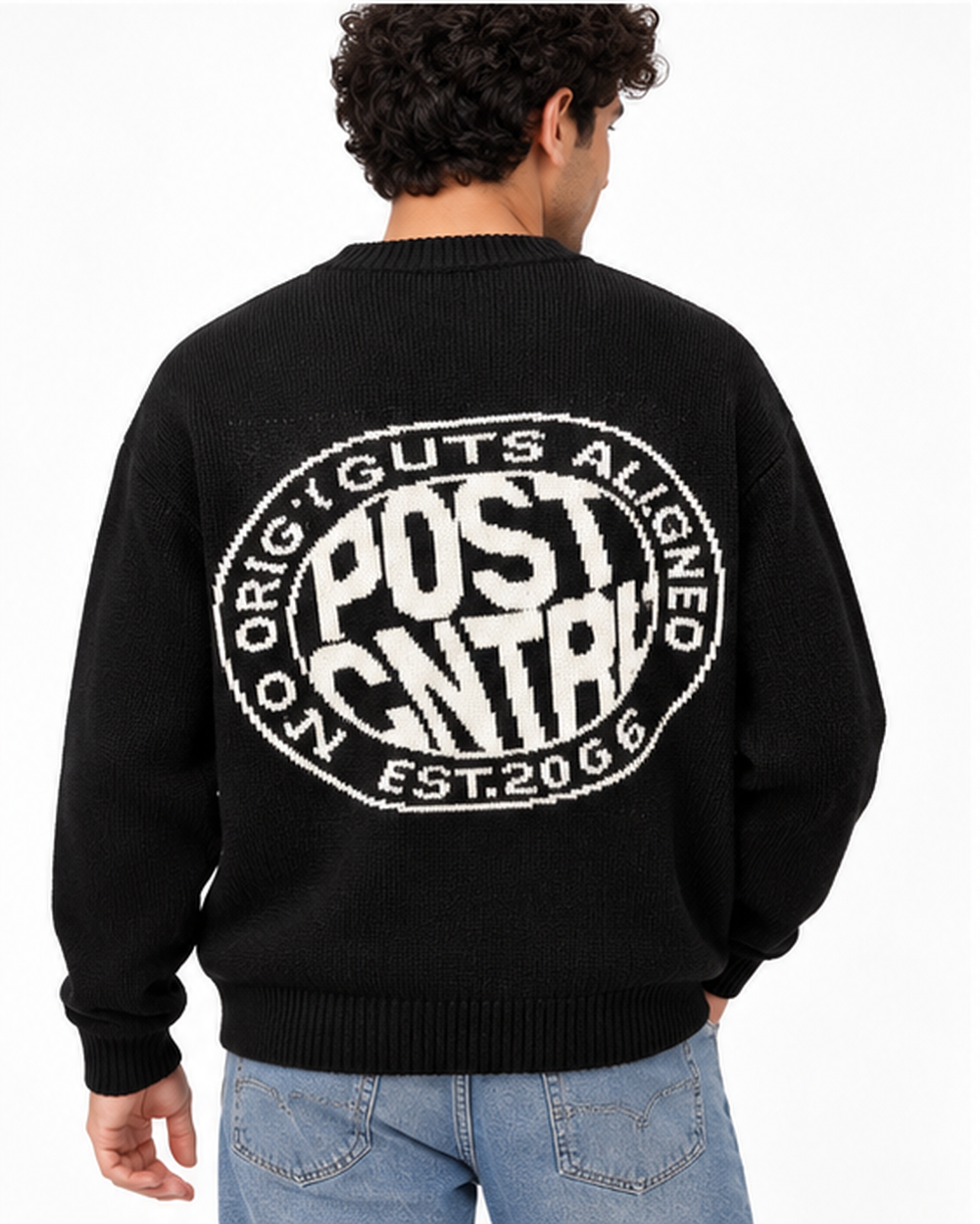 Men Jaqured Round Neck Pullover