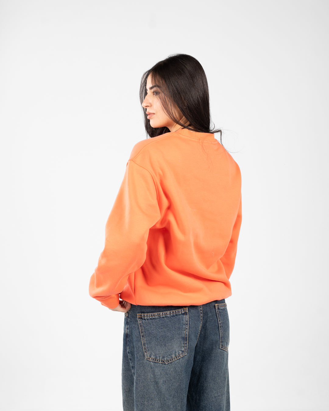 Embroidered Oversize Sweat Shirt
