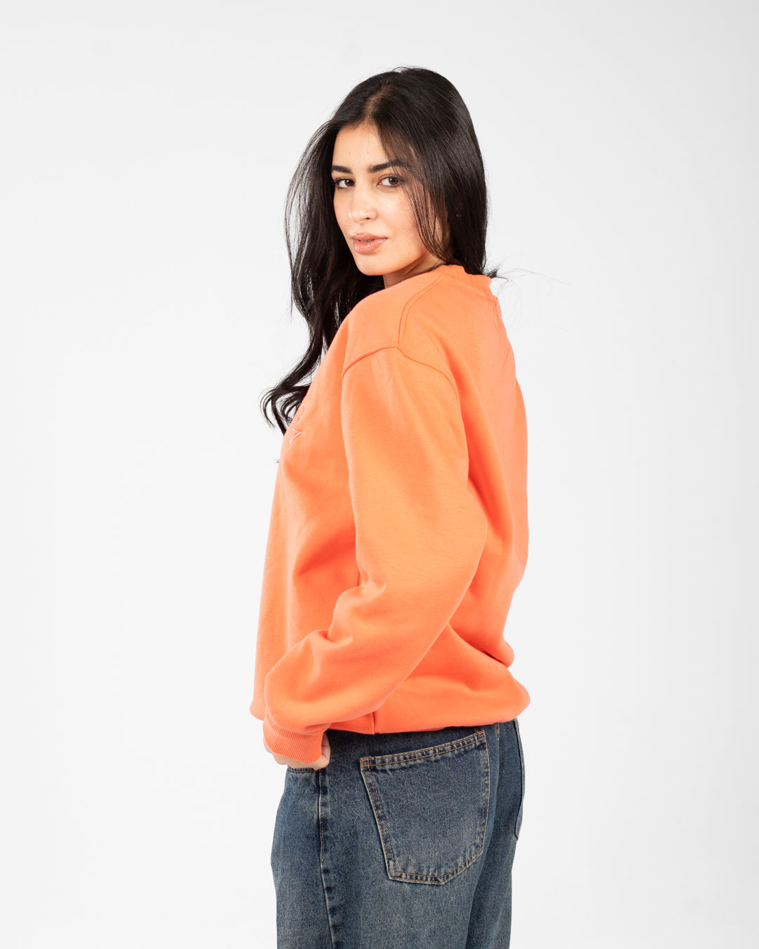 Embroidered Oversize Sweat Shirt