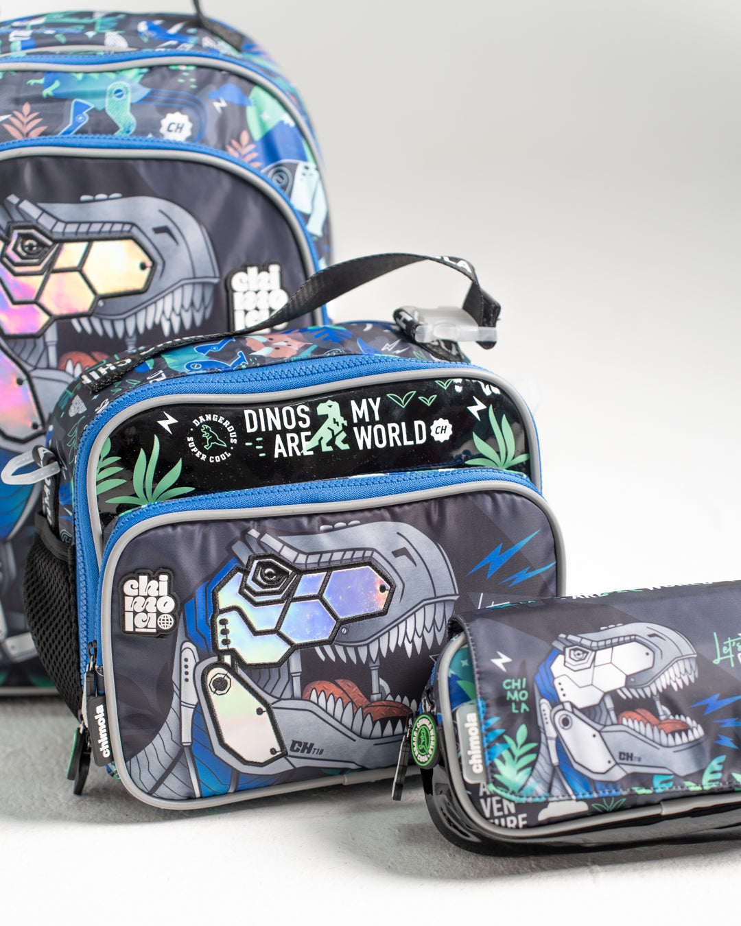 Dinasours Bagpack Set