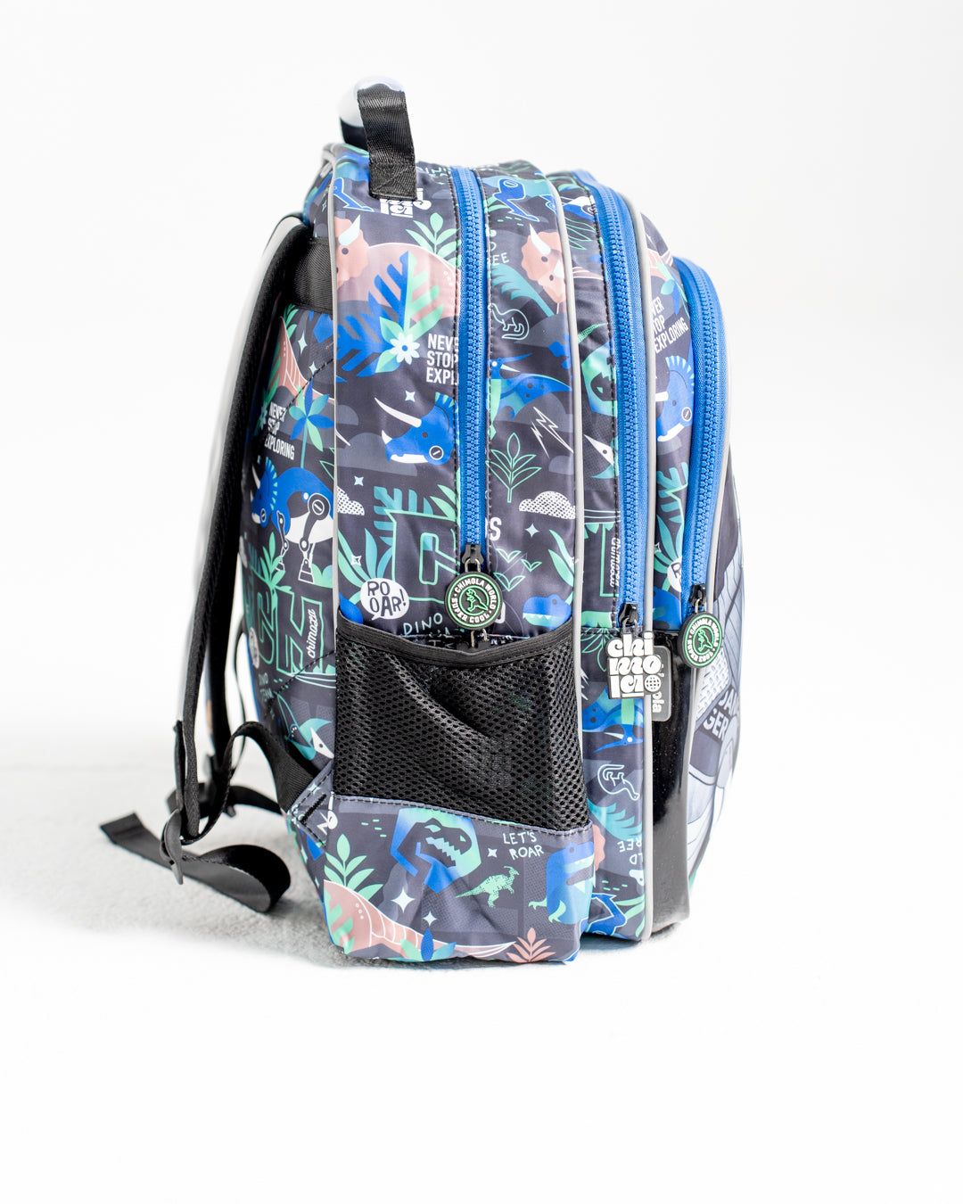 Dinasours Bagpack Set
