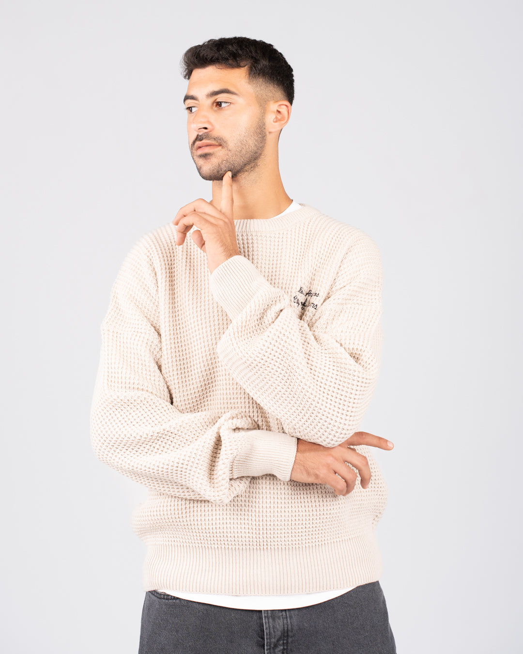 Embroidered Men Pullover