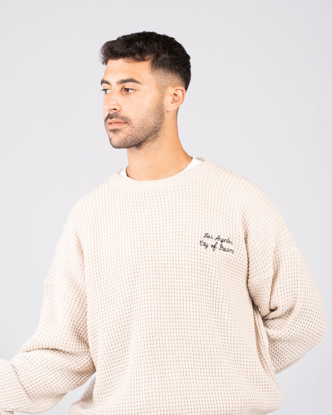 Embroidered Men Pullover