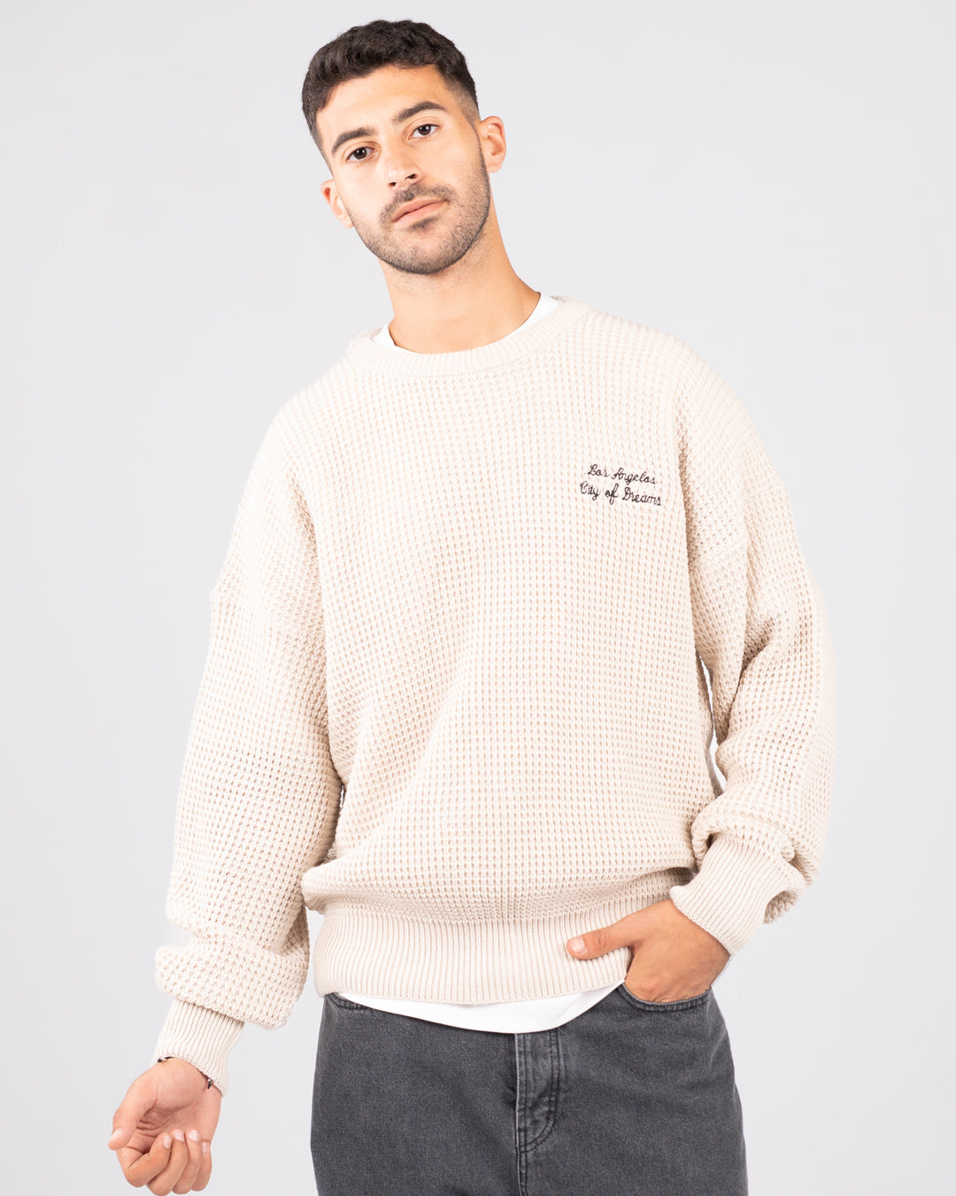 Embroidered Men Pullover