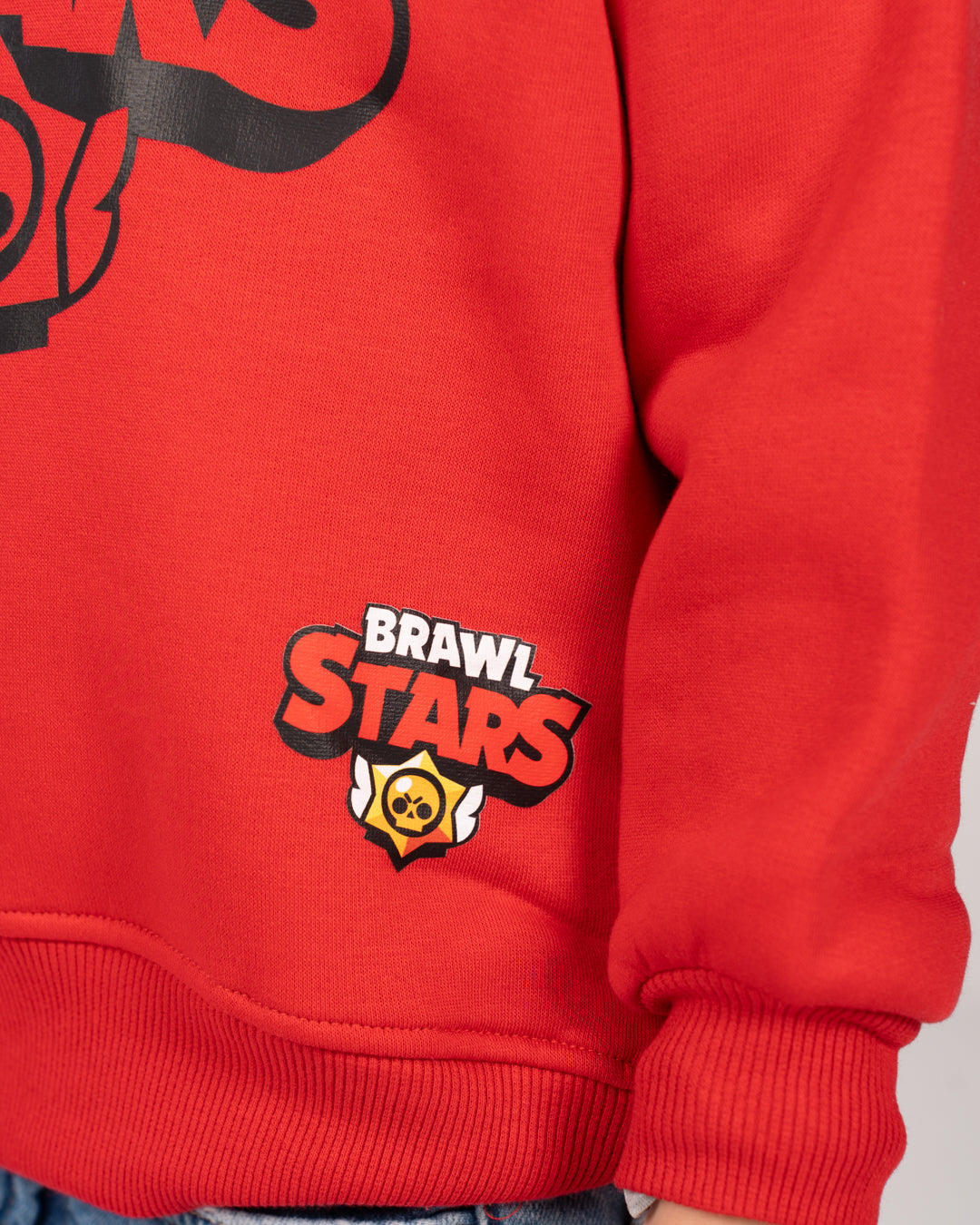 Boys Printed SweatShirt Round Neck