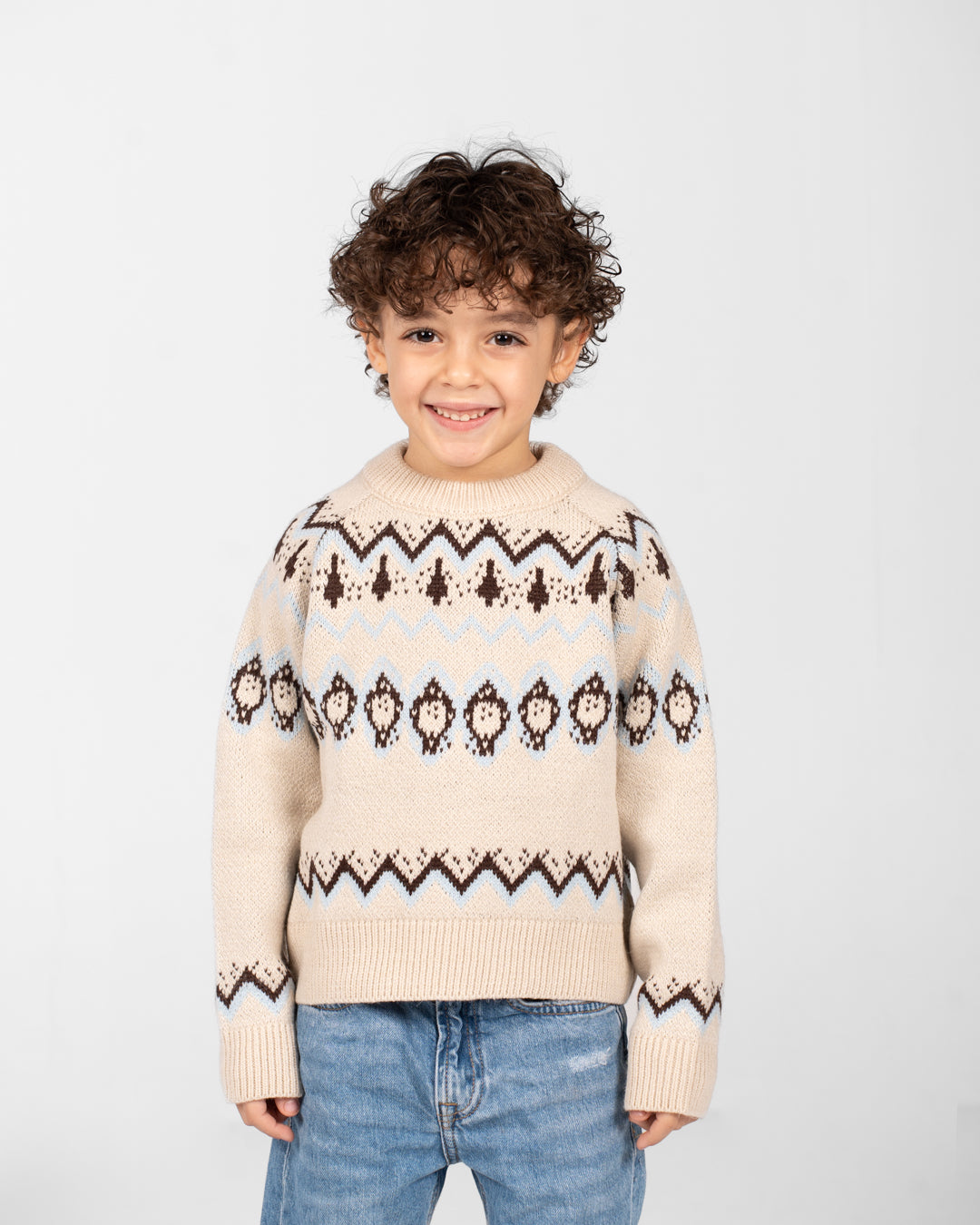 Boys Crewneck Jacquard Pullover