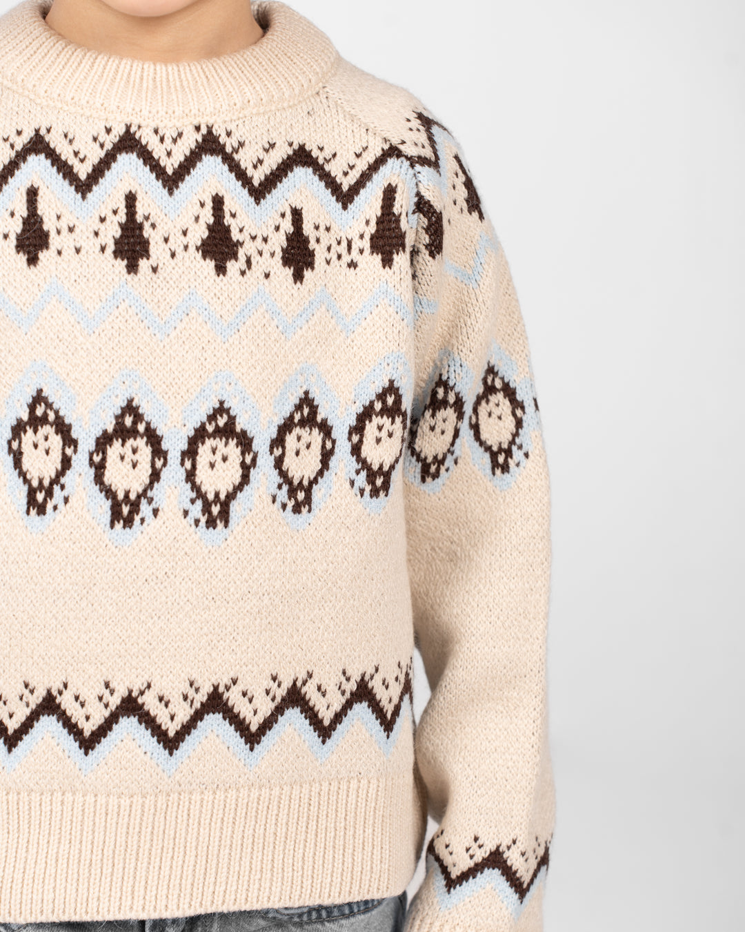 Boys Crewneck Jacquard Pullover