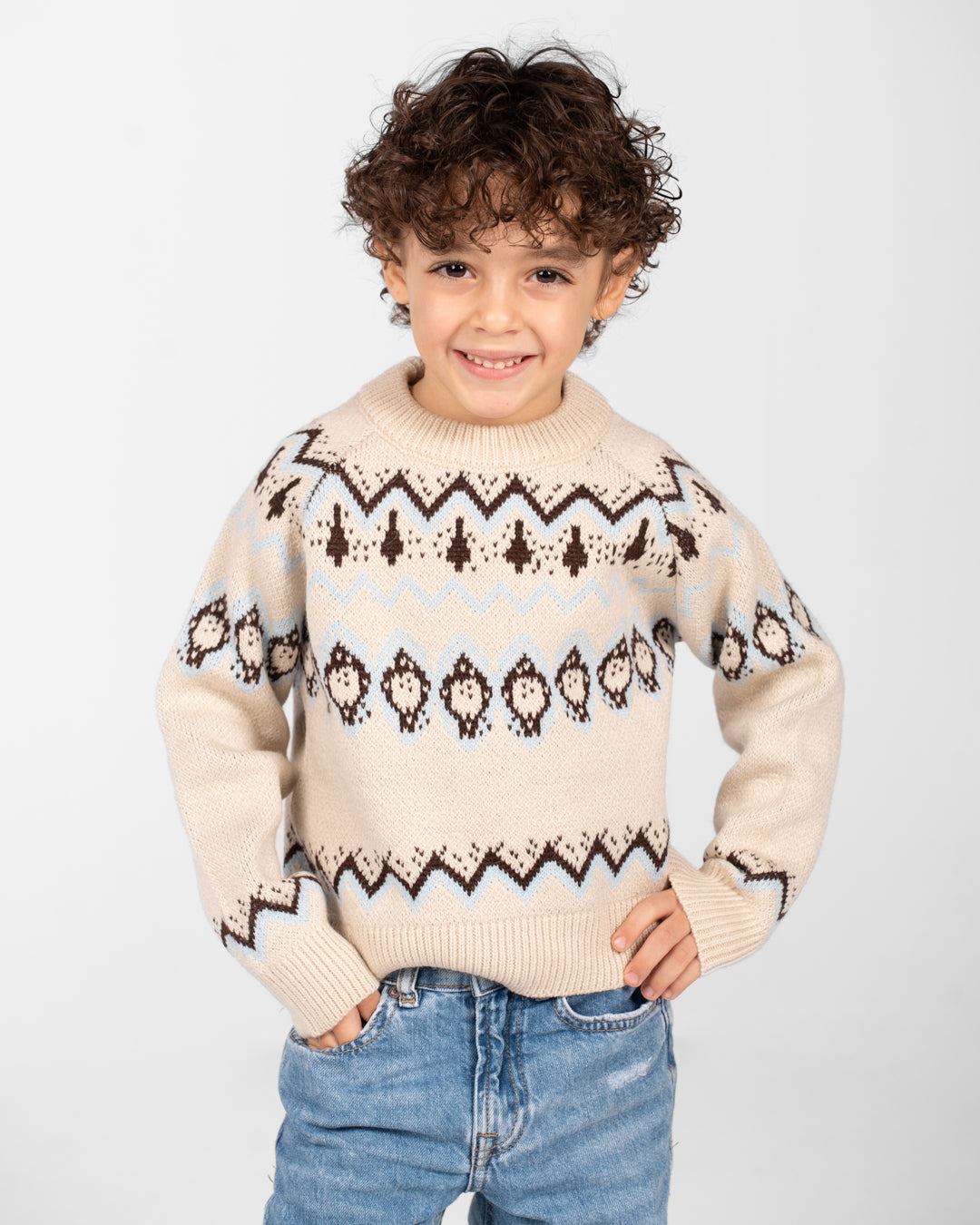 Boys Crewneck Jacquard Pullover