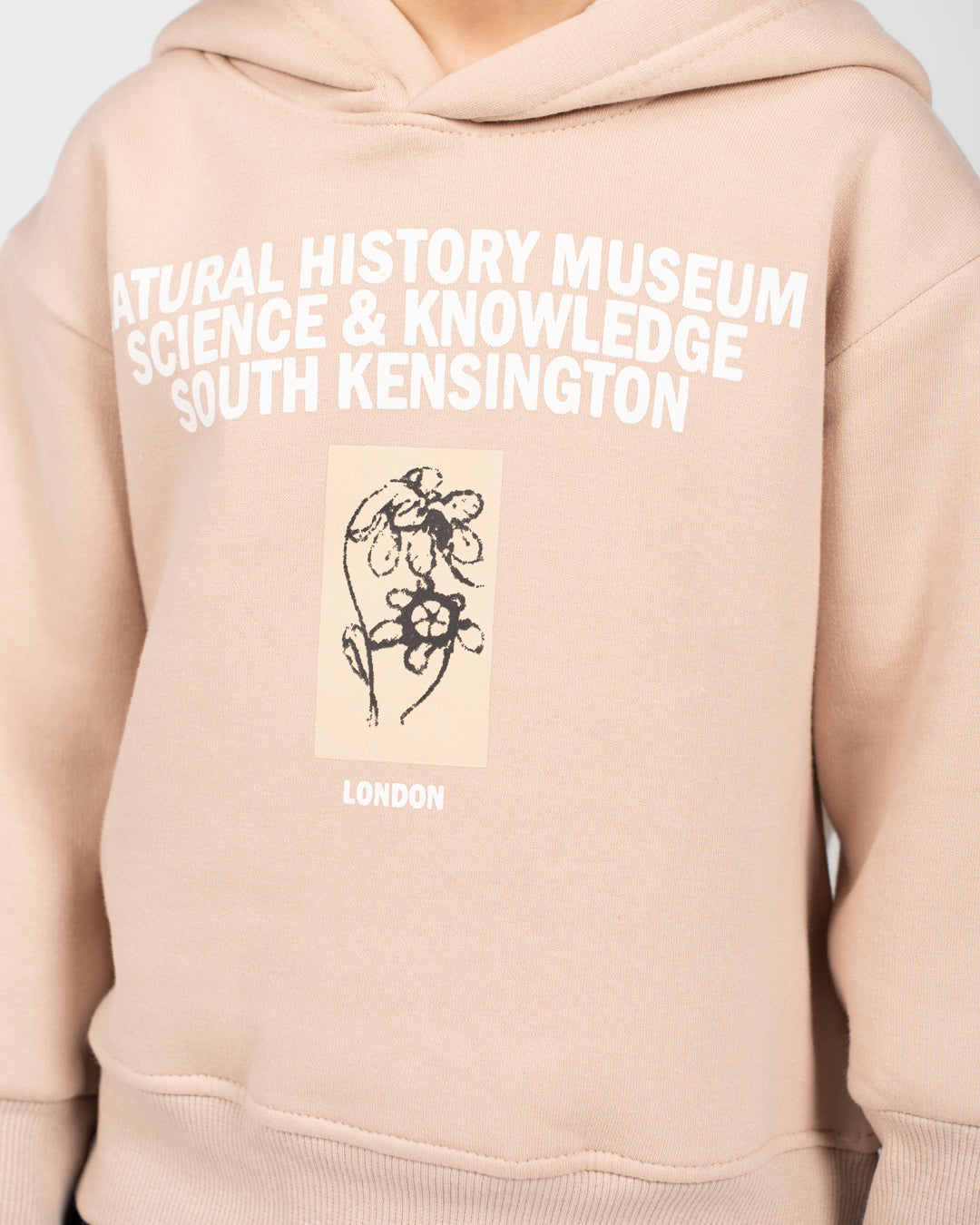 Boys Hoodied Printed Sweatshirt