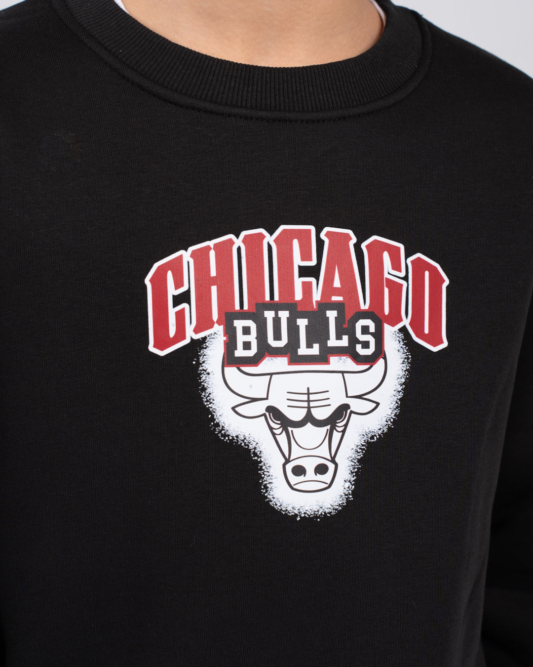 Boys Printed Crewneck Sweatshirt