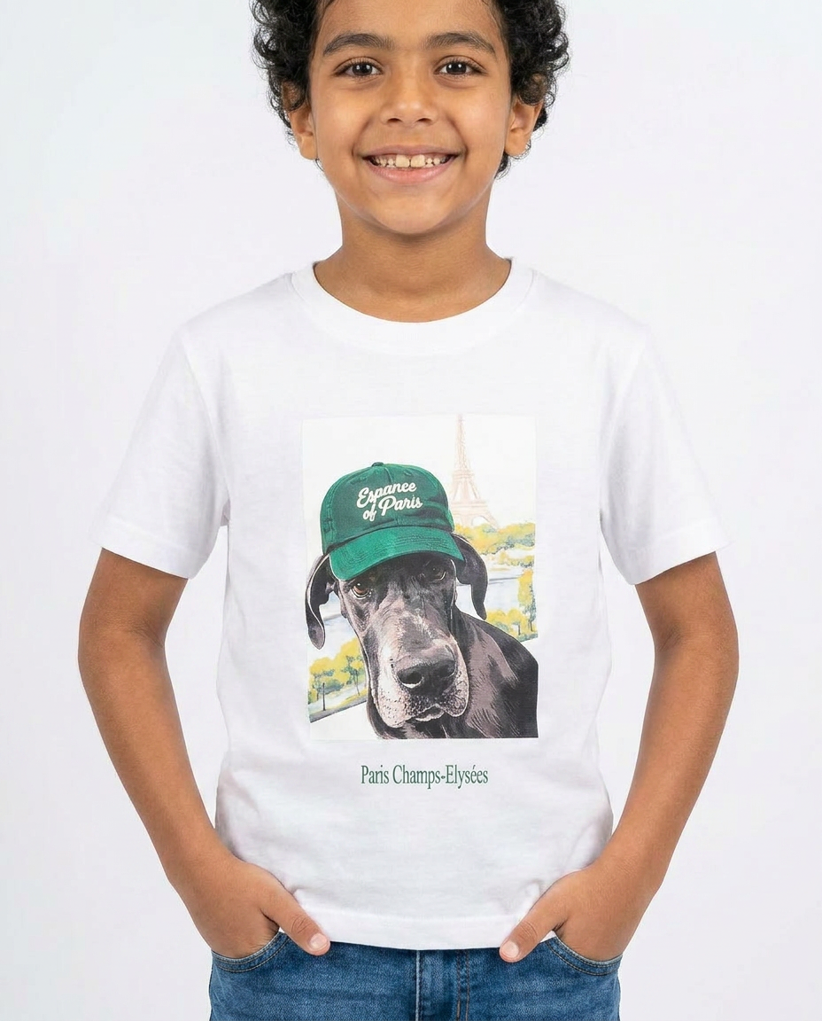 Boys Printed Half Sleeves T-shirt