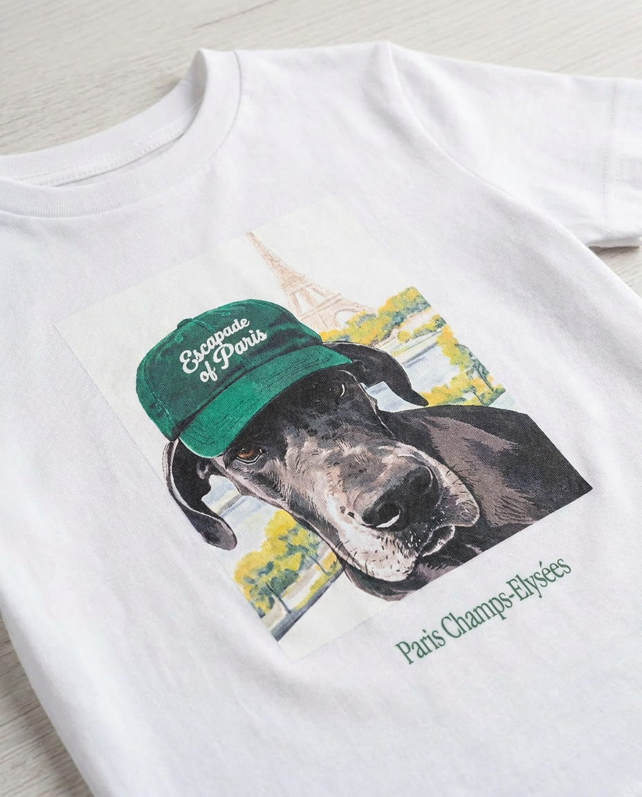 Boys Printed Half Sleeves T-shirt