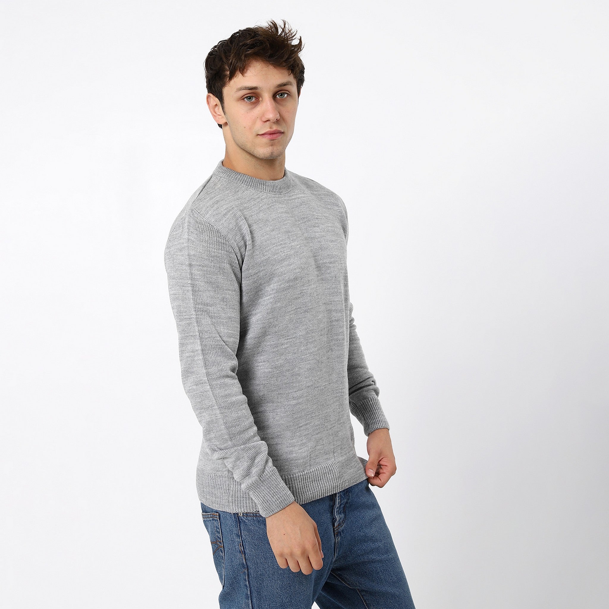 Coin Grey Plain Crew Basic Pullover