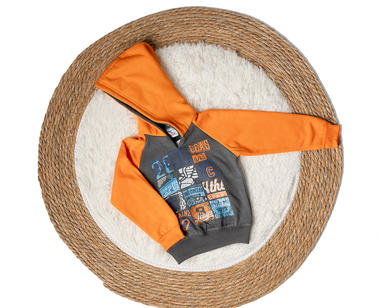 Baby Boy Printed Sweatshirt