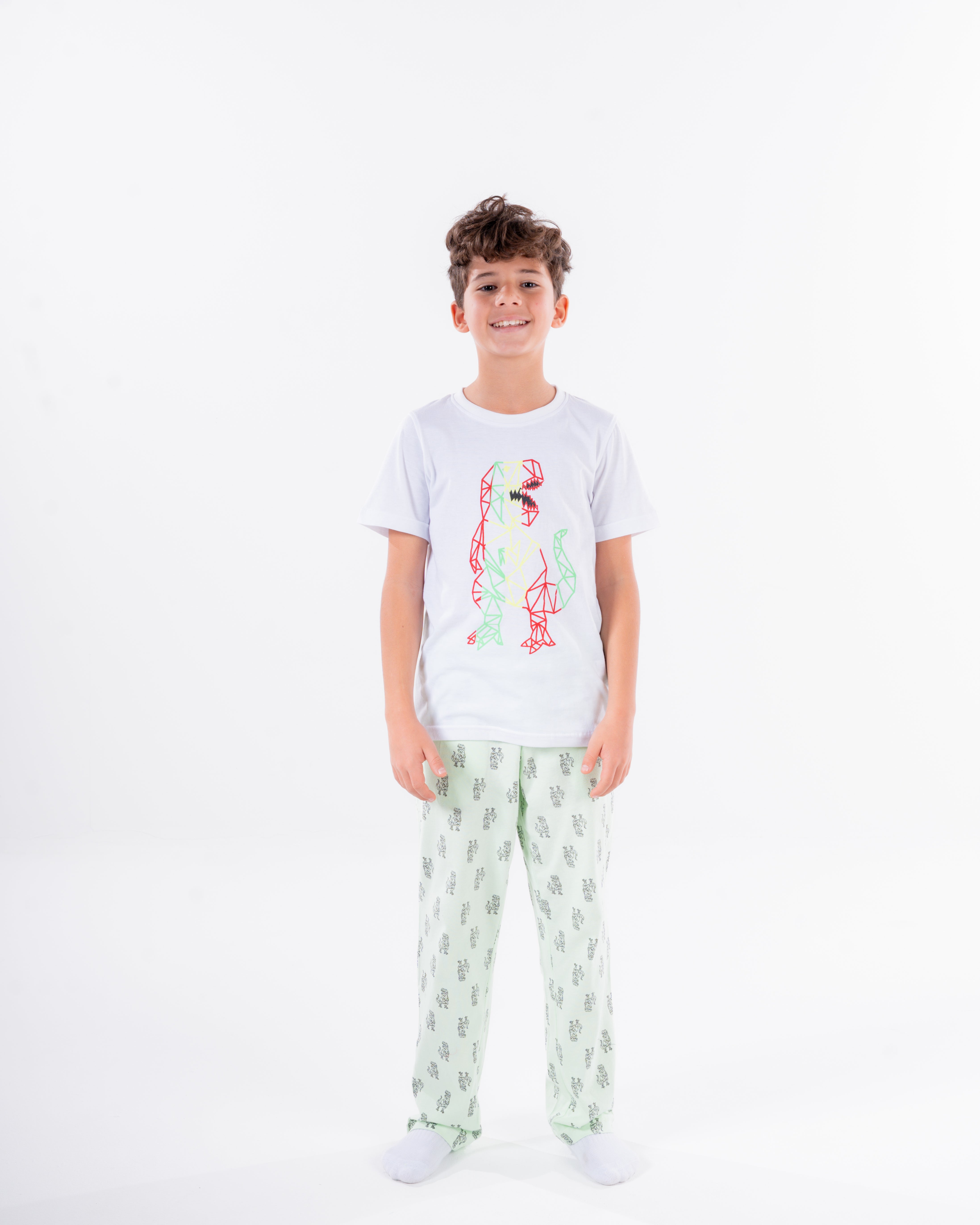 Boys Printed Short Sleeves Pyjama
