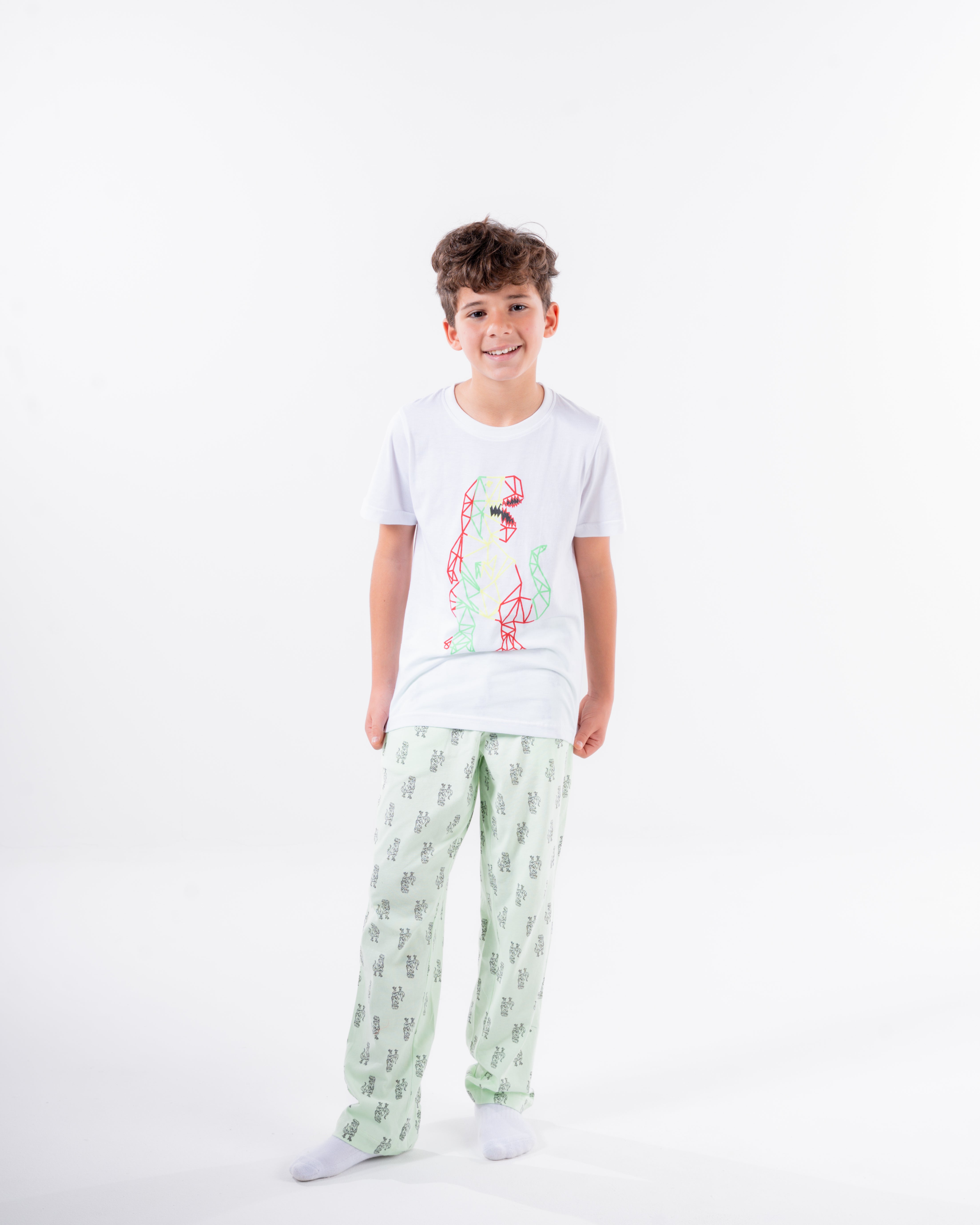 Boys Printed Short Sleeves Pyjama
